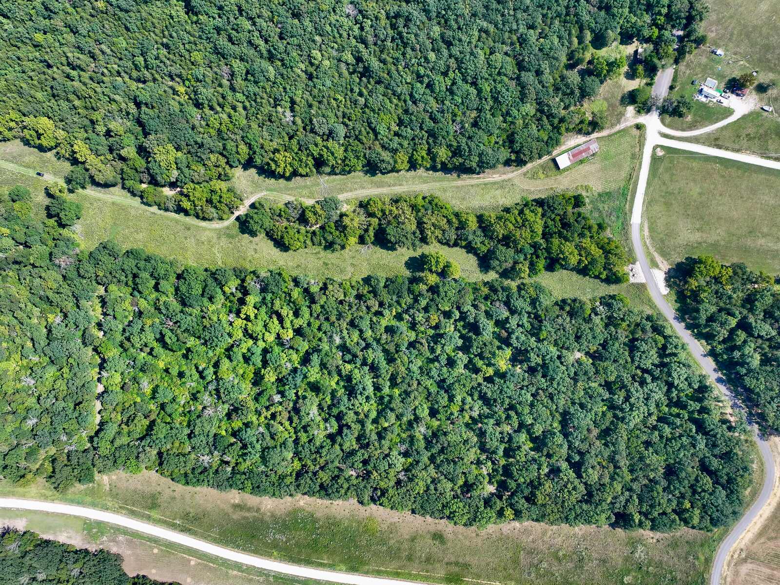 Overhead view of Tanglefoot Farm timber, pasture, and road frontage