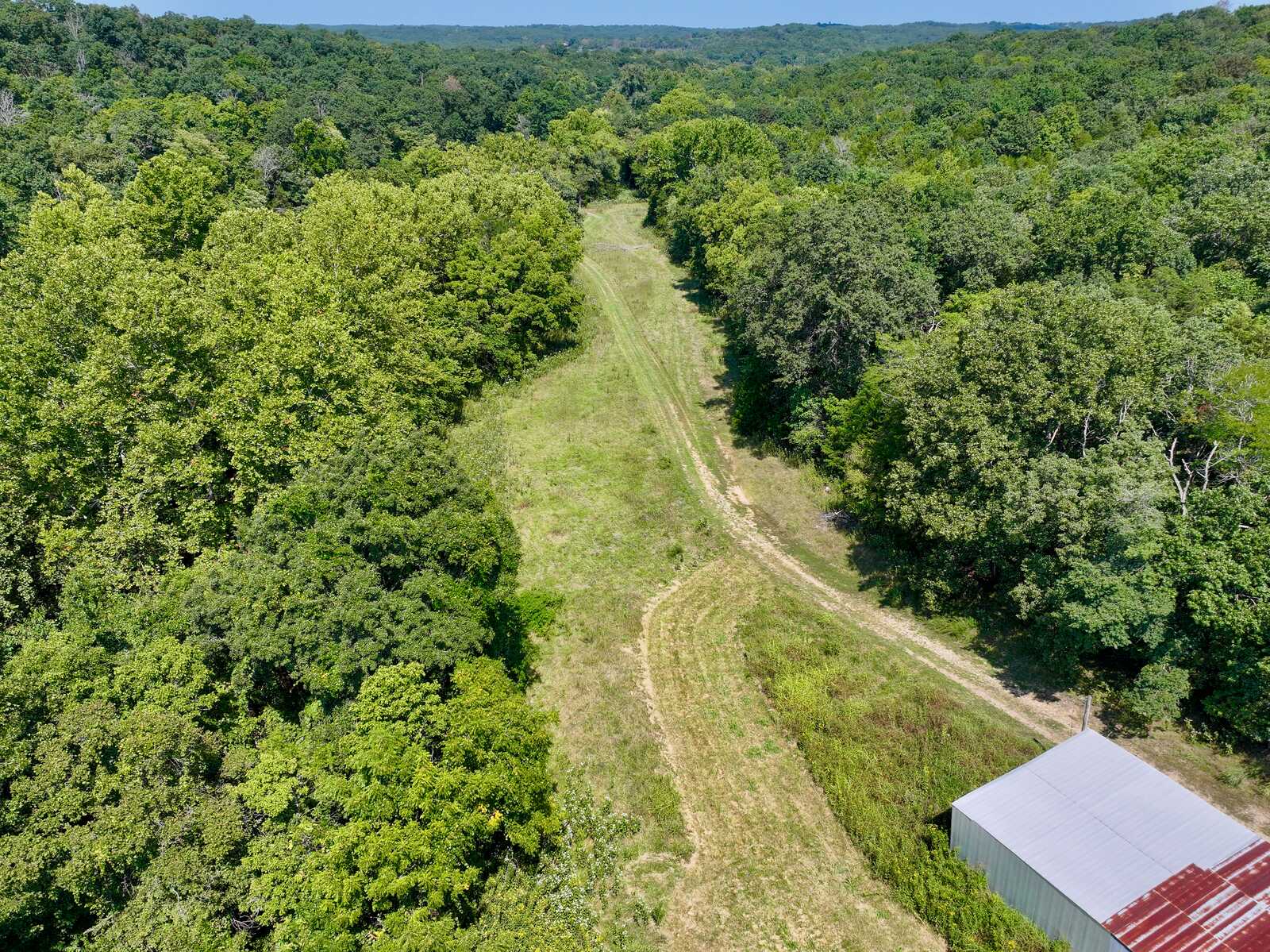 Mowed pasture lane beside the barn leading toward the woods at Tanglefoot Farm