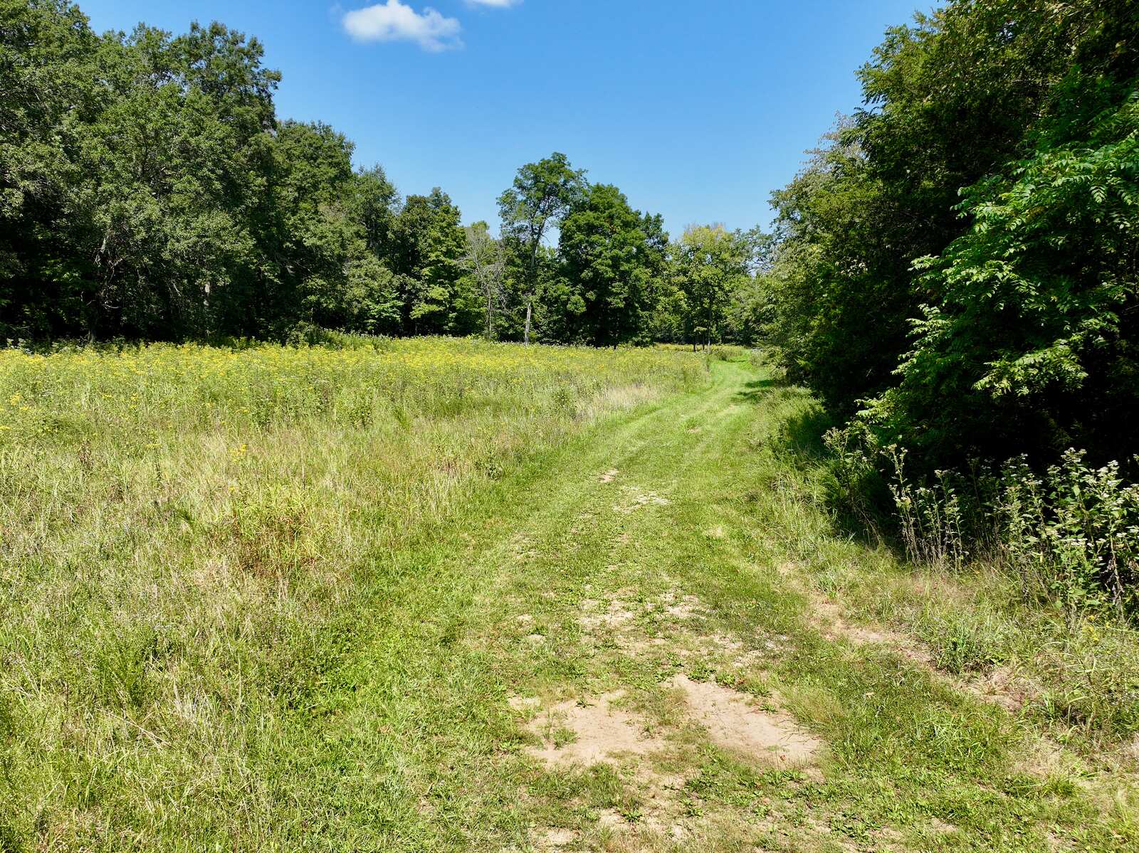 Open pasture with a mowed path at Tanglefoot Farm
