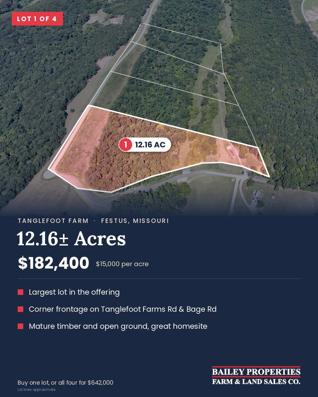Tanglefoot Farm Lot 1 of 4: 12.16± acres, $182,400