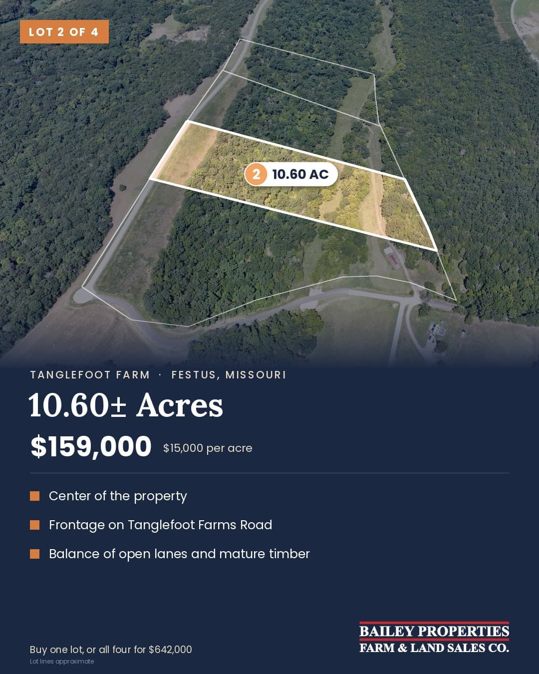 Tanglefoot Farm Lot 2 of 4: 10.60± acres, $159,000