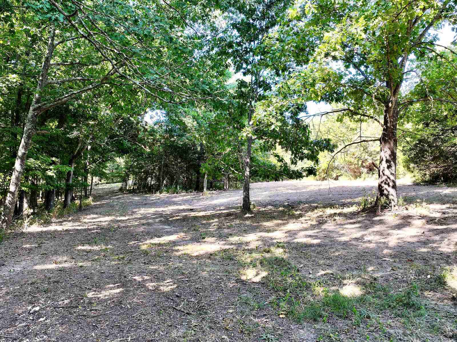Recently cleared opening under mature oaks at Callaway Ridge