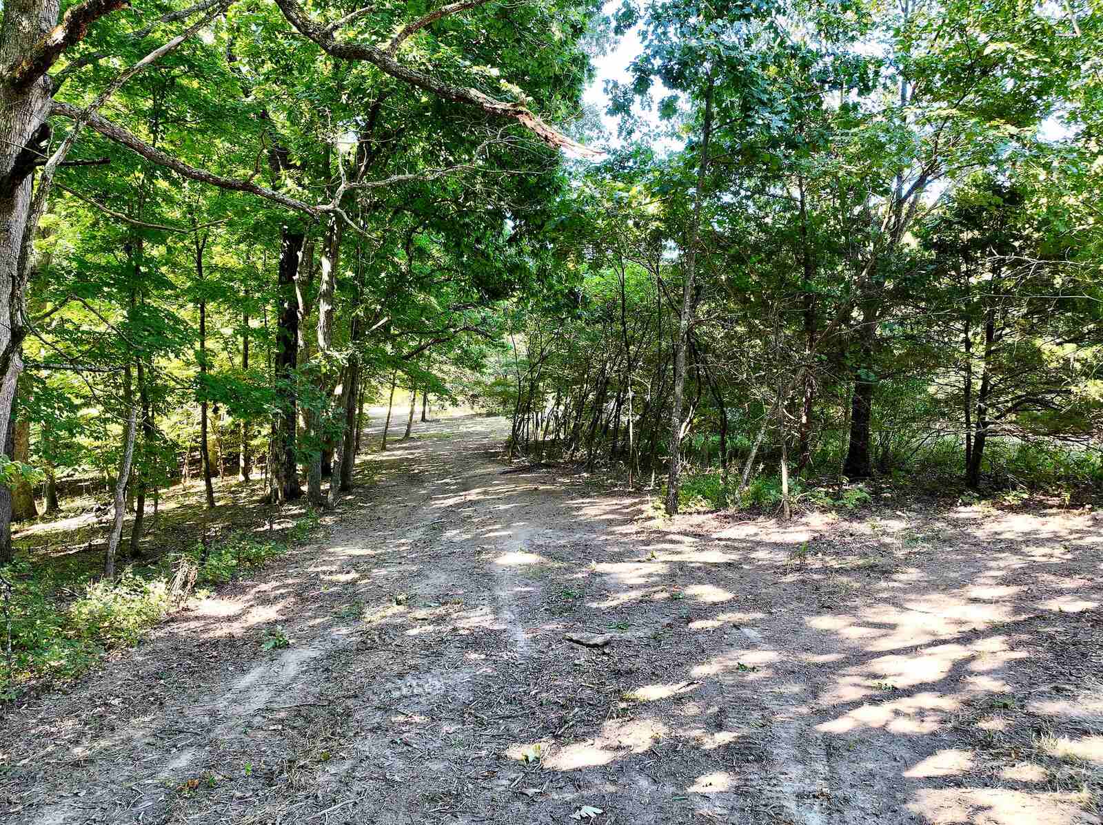 Cleared interior trail running through the timber at Callaway Ridge