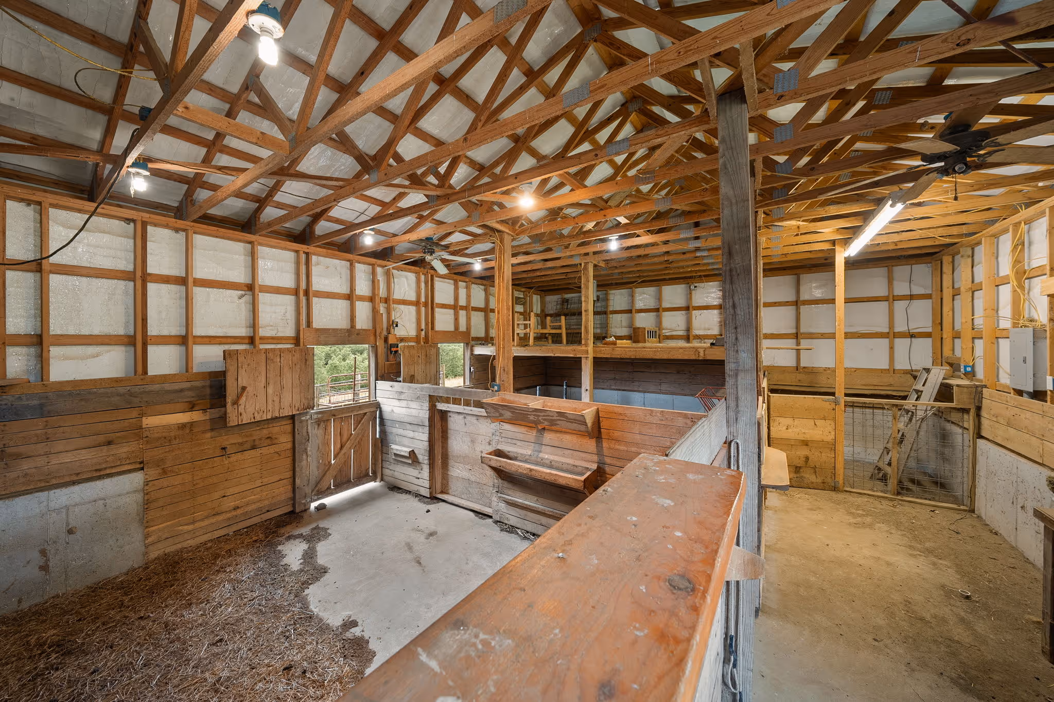 Cedar Buck Ranch