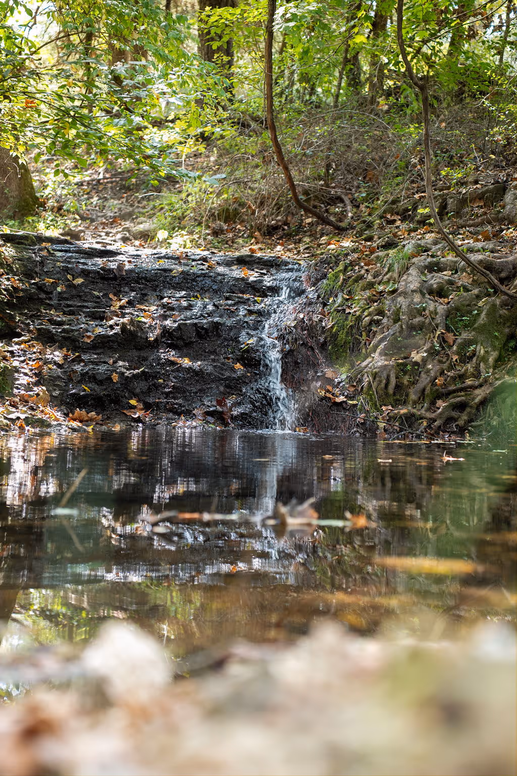 Cedar Ford