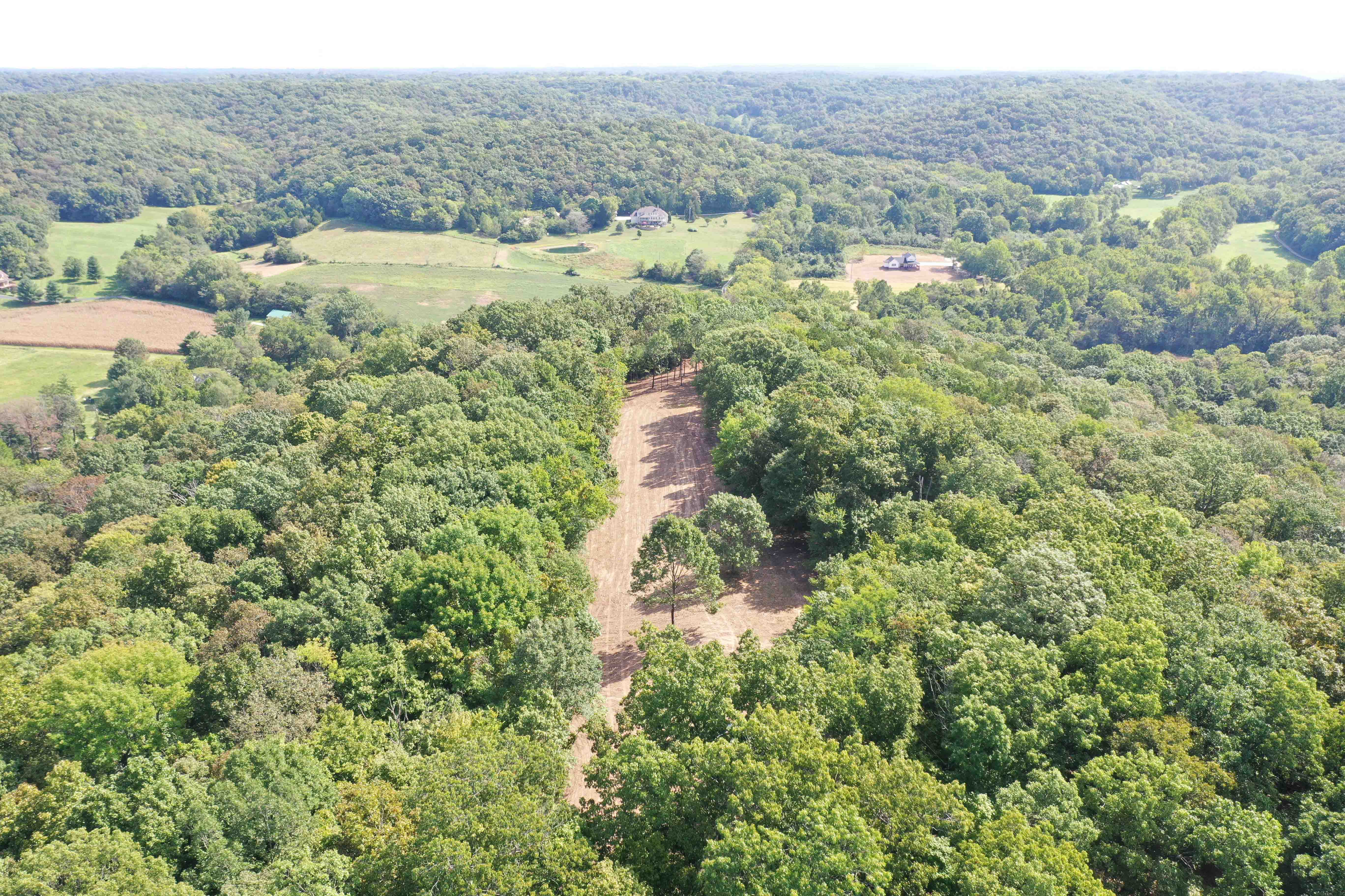 Fiddle Creek