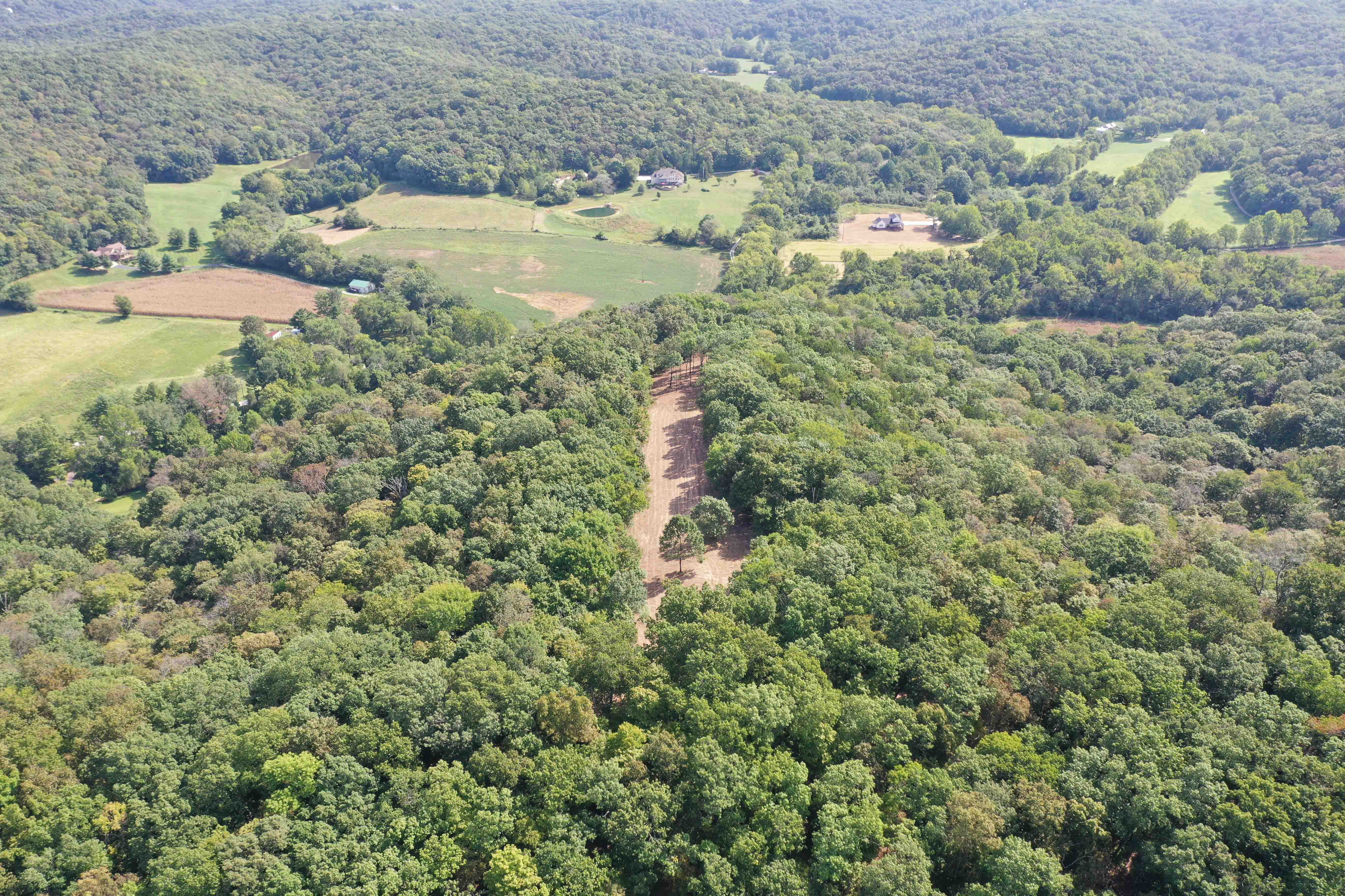 Fiddle Creek