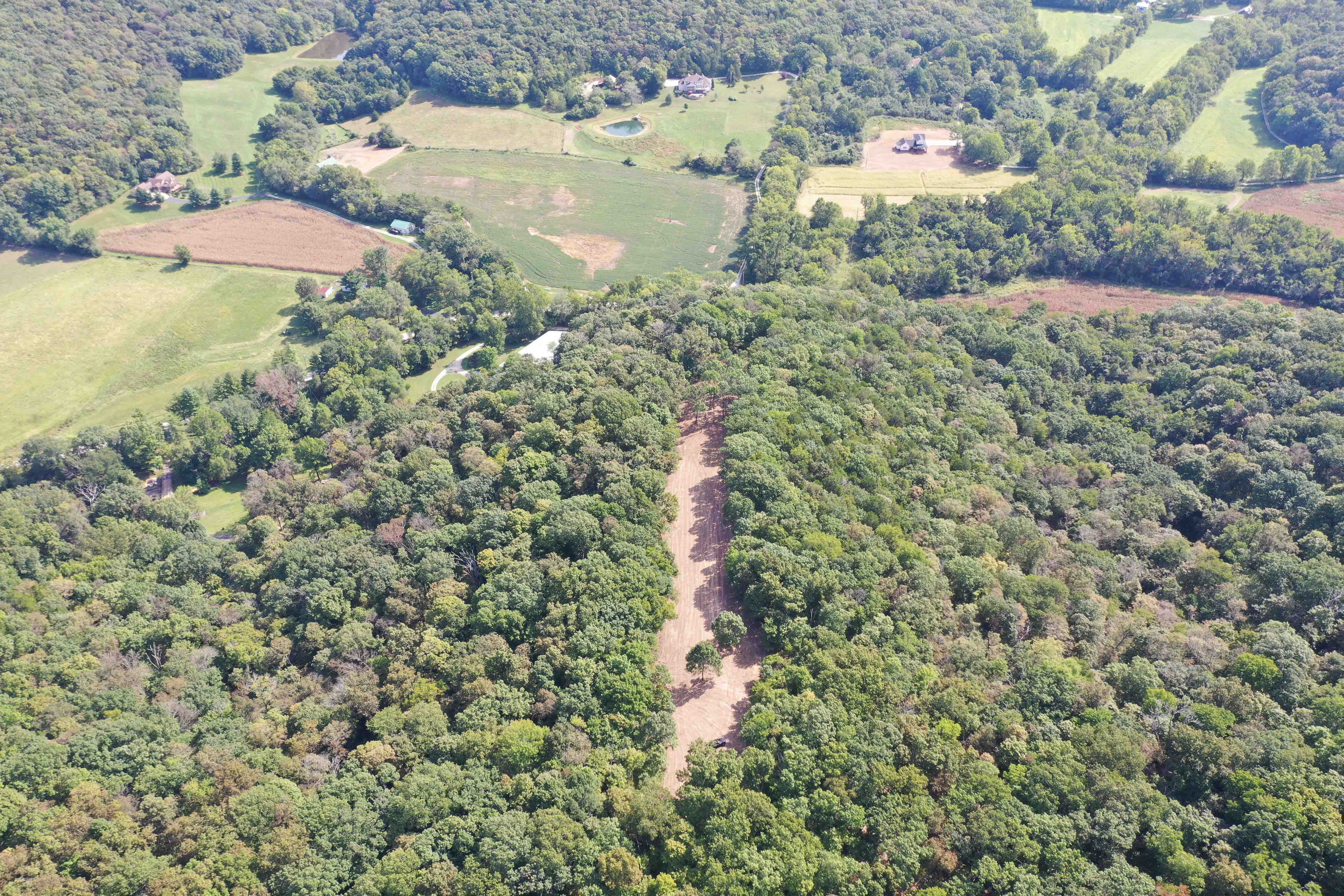 Fiddle Creek