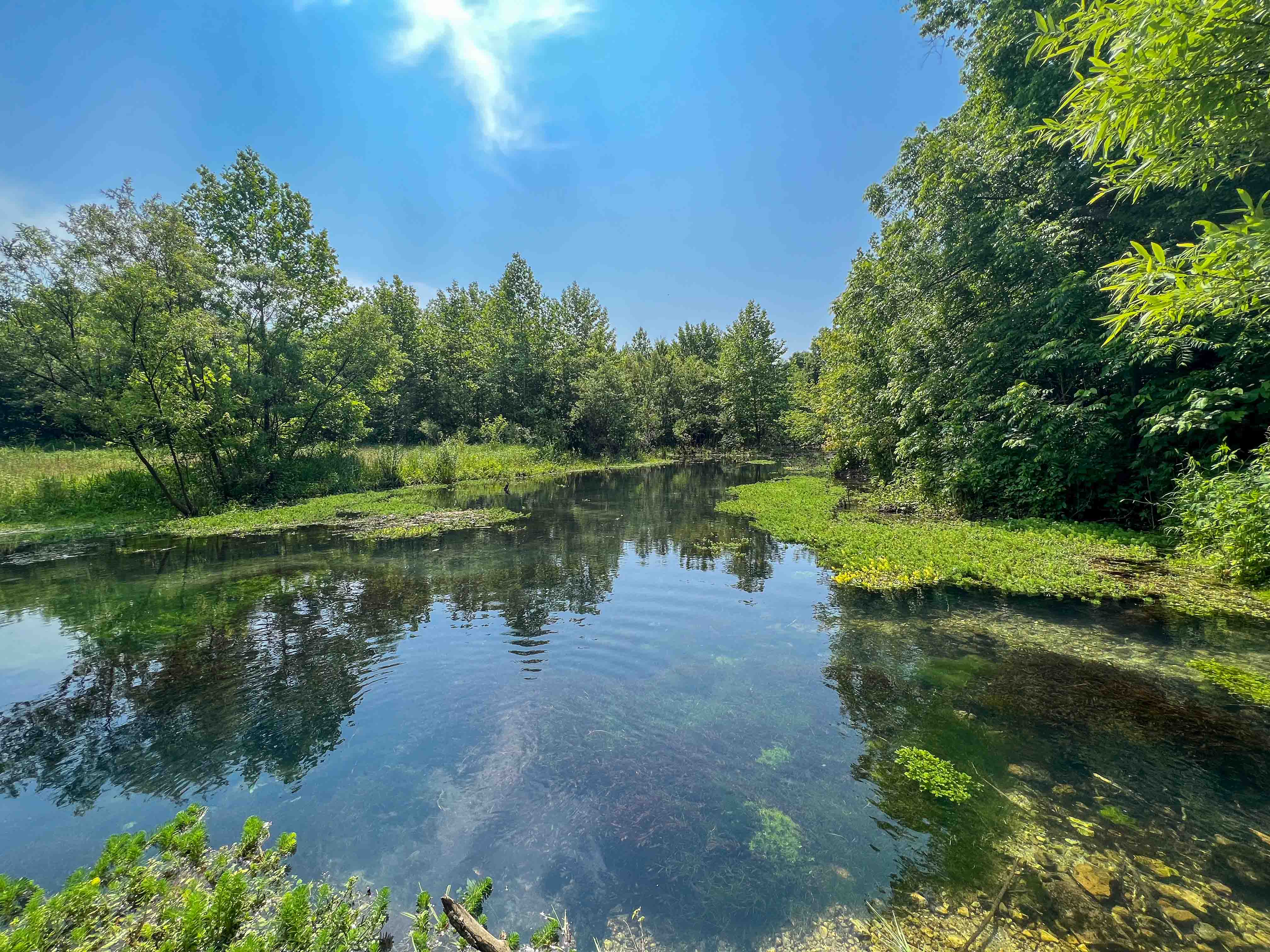 Gibbs Spring Farm | SOLD