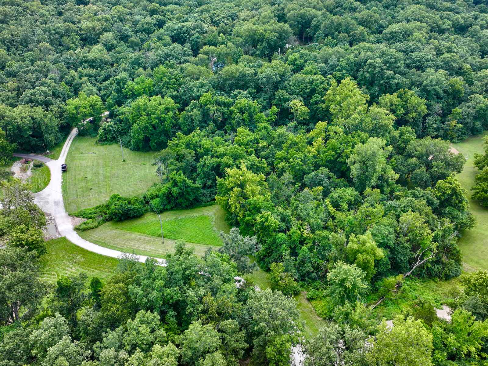 Interior road and trail network winding through the timber at Gobblers Knob