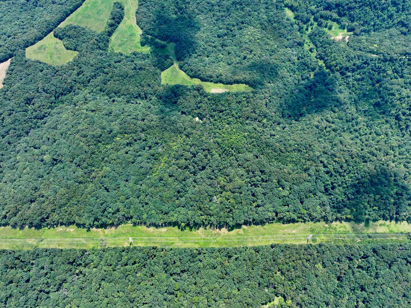 Hidden food plots and open clearings tucked into the timber at Gobblers Knob