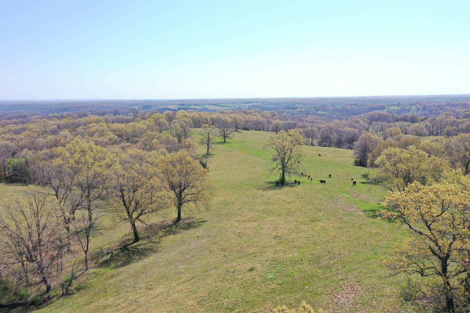 HWY BB RANCH | MLS # 21026890 | SOLD