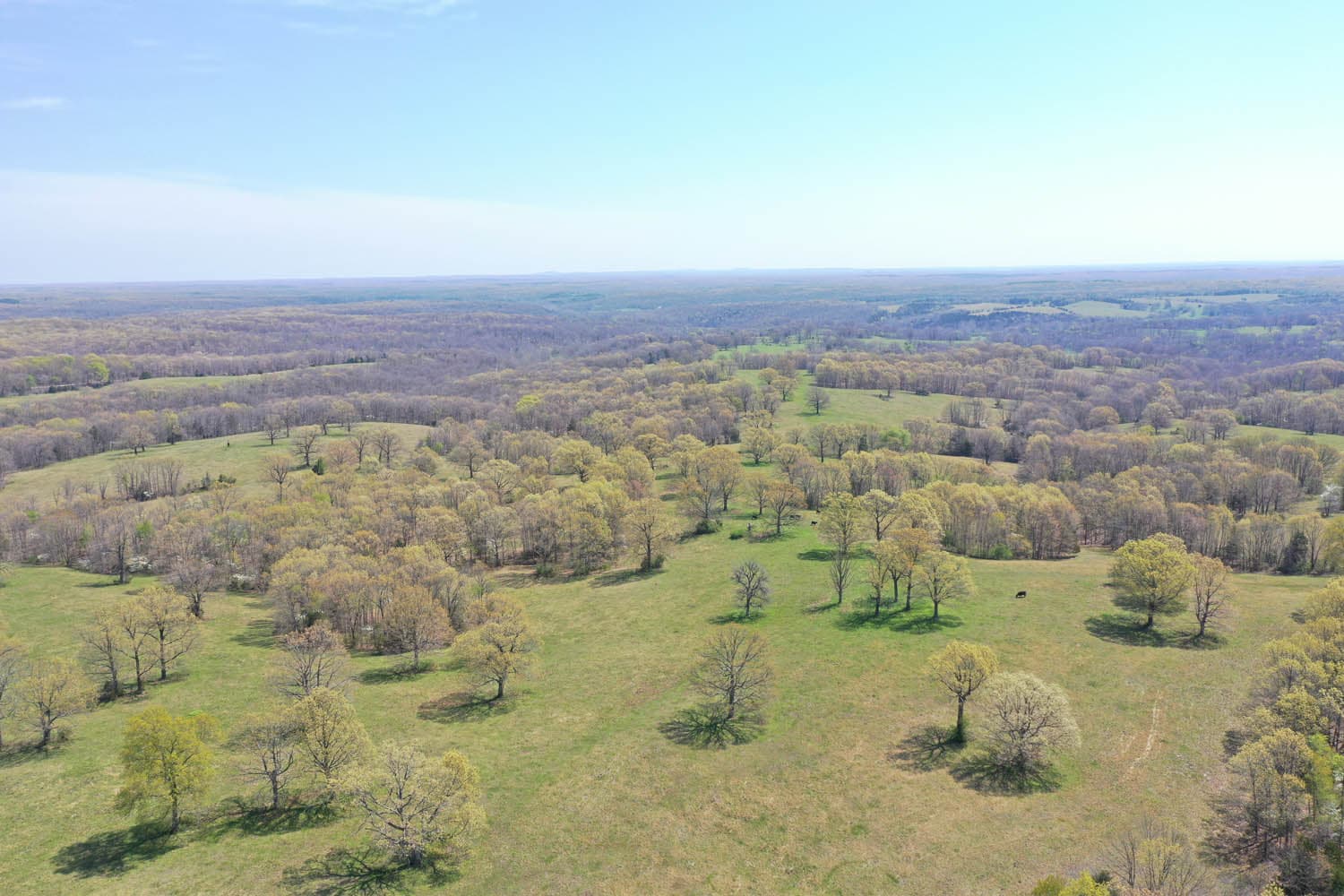 HWY BB RANCH | MLS # 21026890 | SOLD