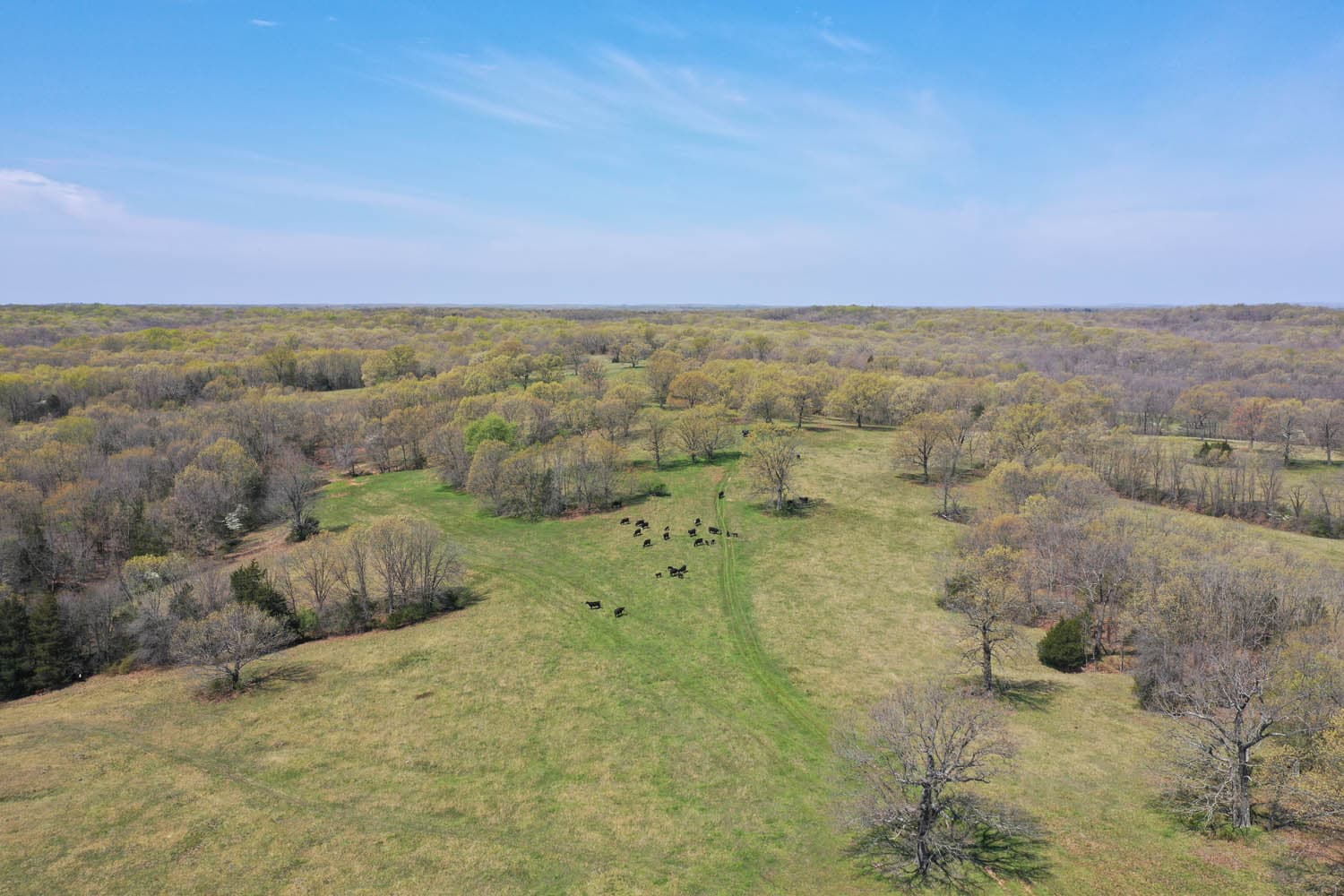 HWY BB RANCH | MLS # 21026890 | SOLD