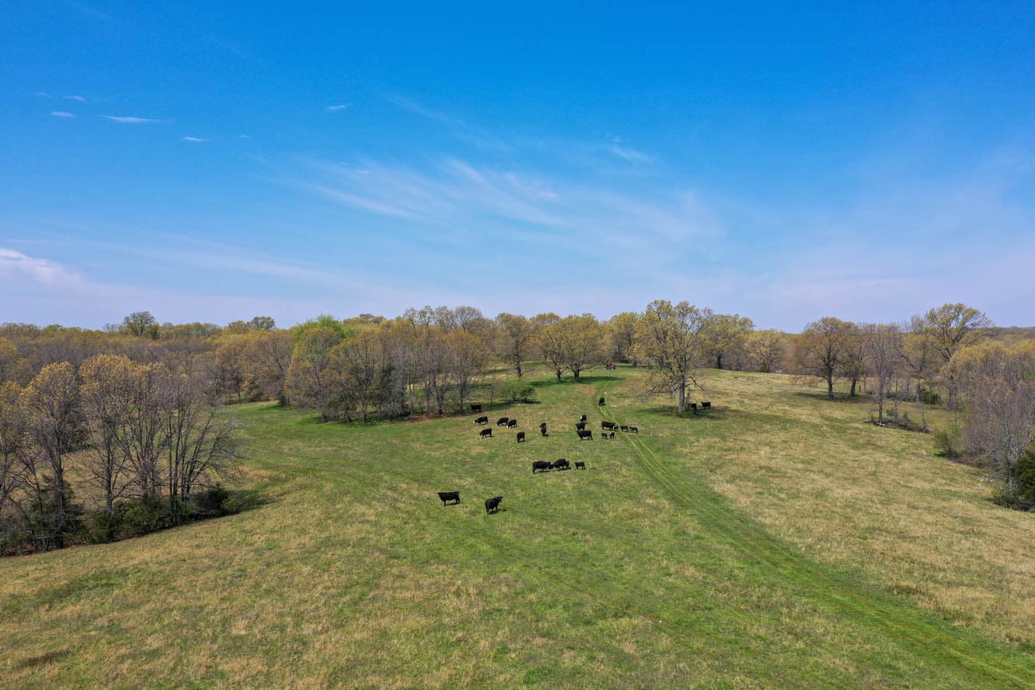 HWY BB RANCH | MLS # 21026890 | SOLD