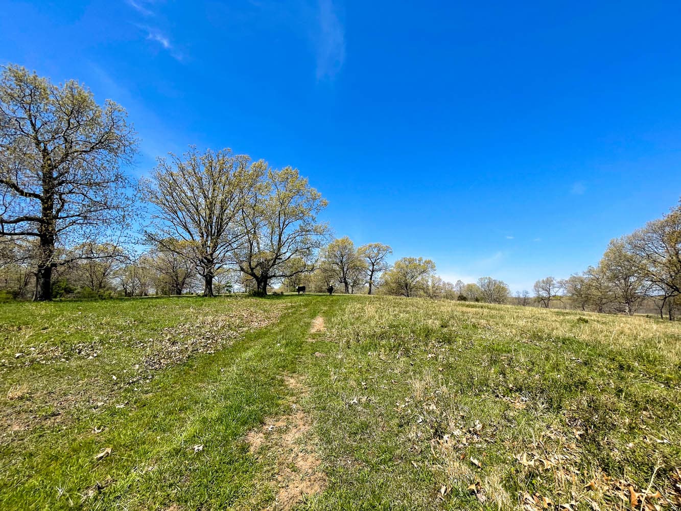 HWY BB RANCH | MLS # 21026890 | SOLD