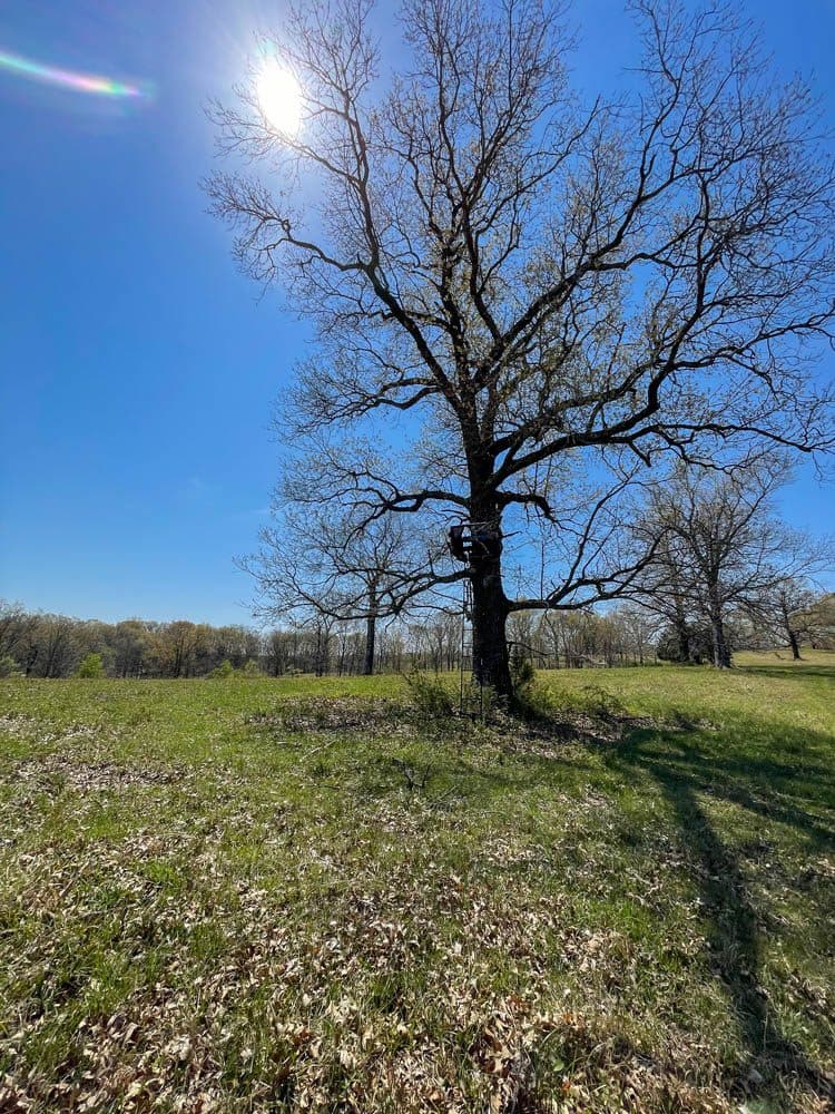 HWY BB RANCH | MLS # 21026890 | SOLD