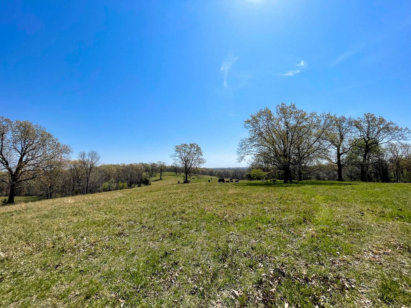 HWY BB RANCH | MLS # 21026890 | SOLD