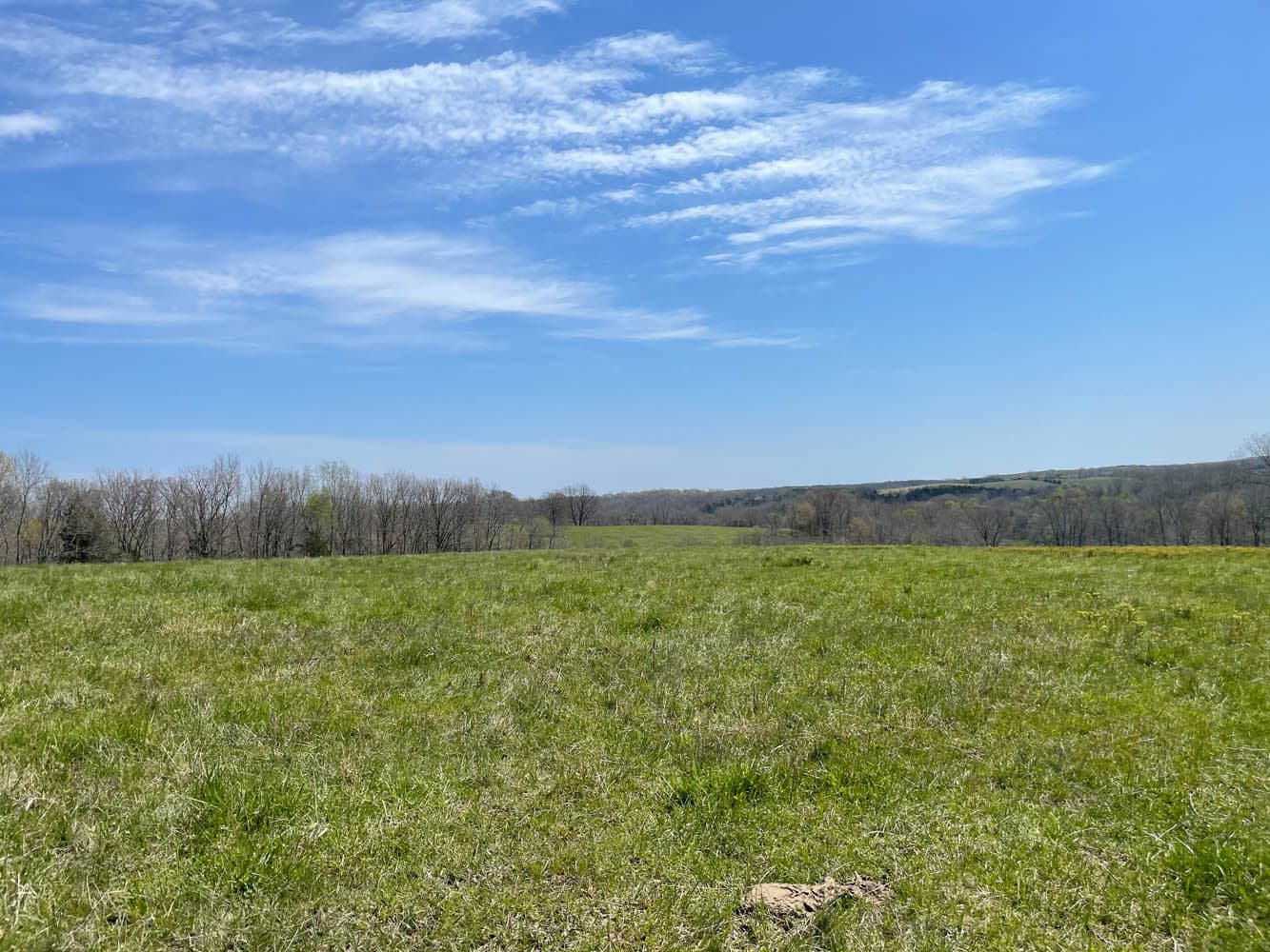 HWY BB RANCH | MLS # 21026890 | SOLD