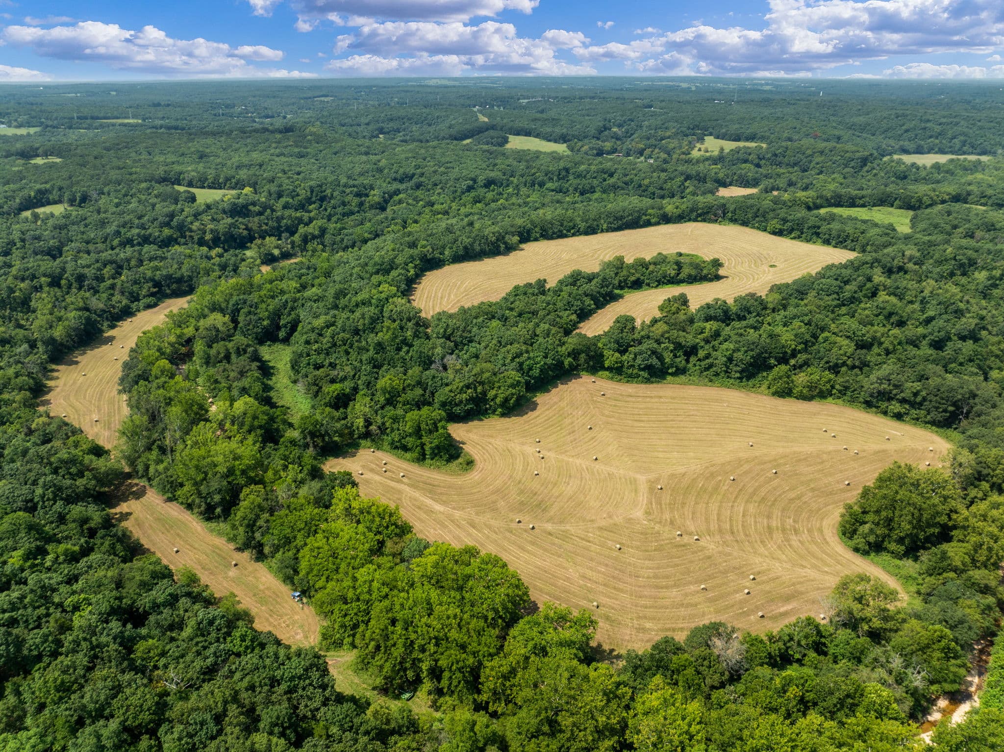 Aerial of the hay fields carved out of the timber