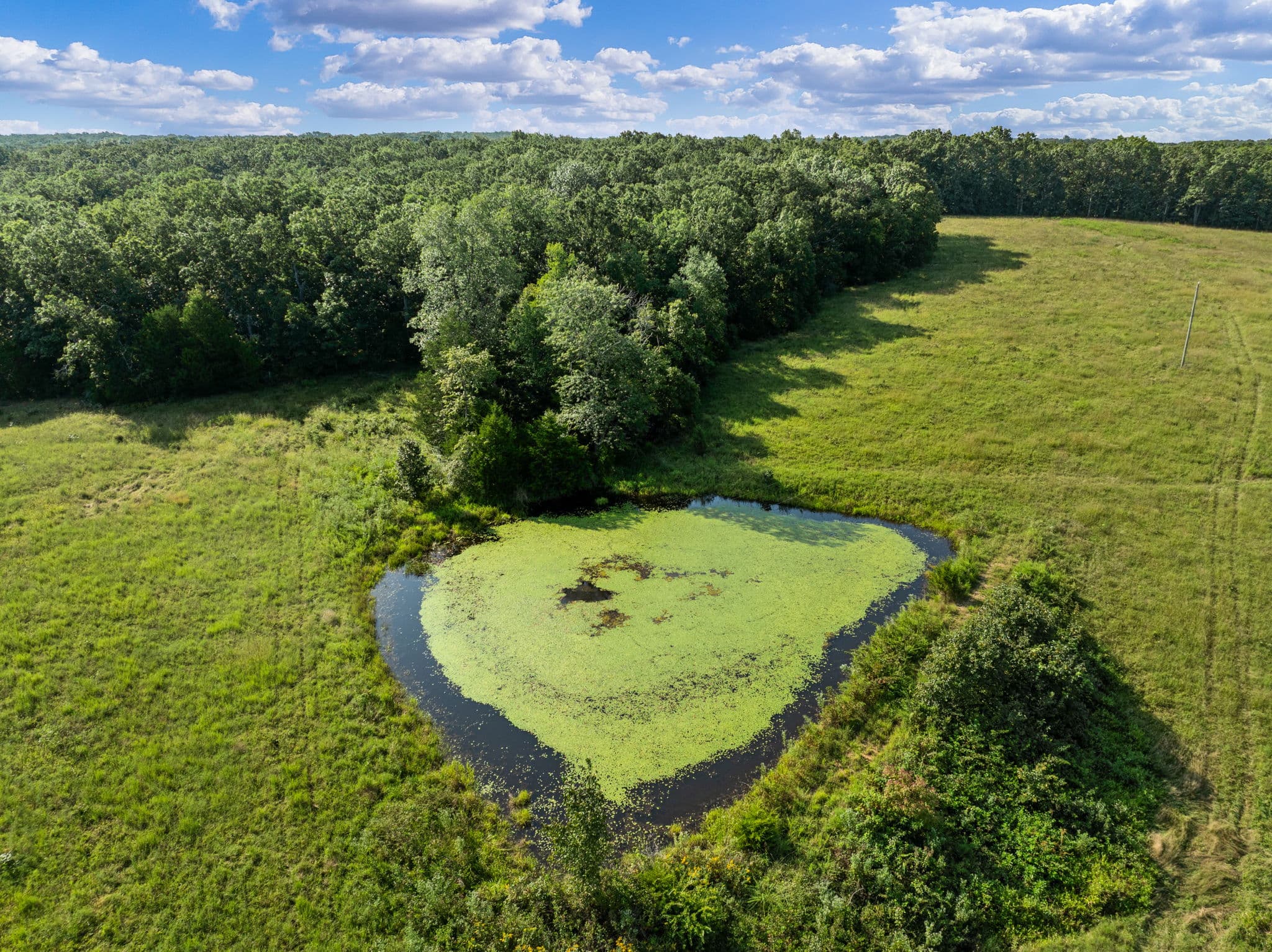 Aerial of pasture with a spring-fed pond