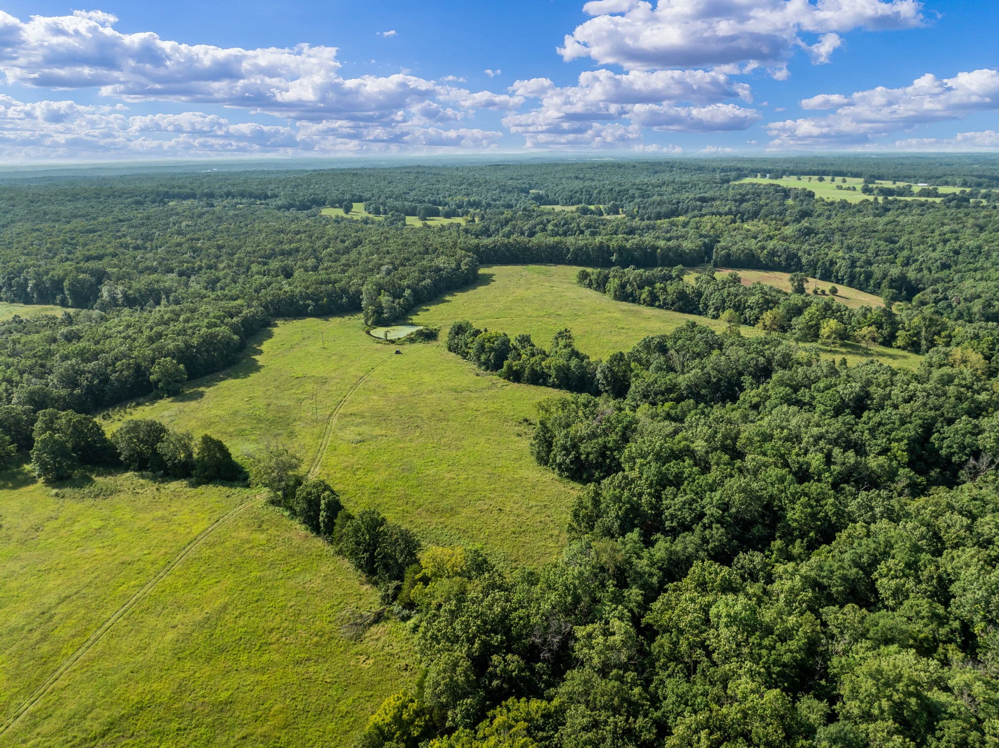 Aerial of open fields bordered by forest