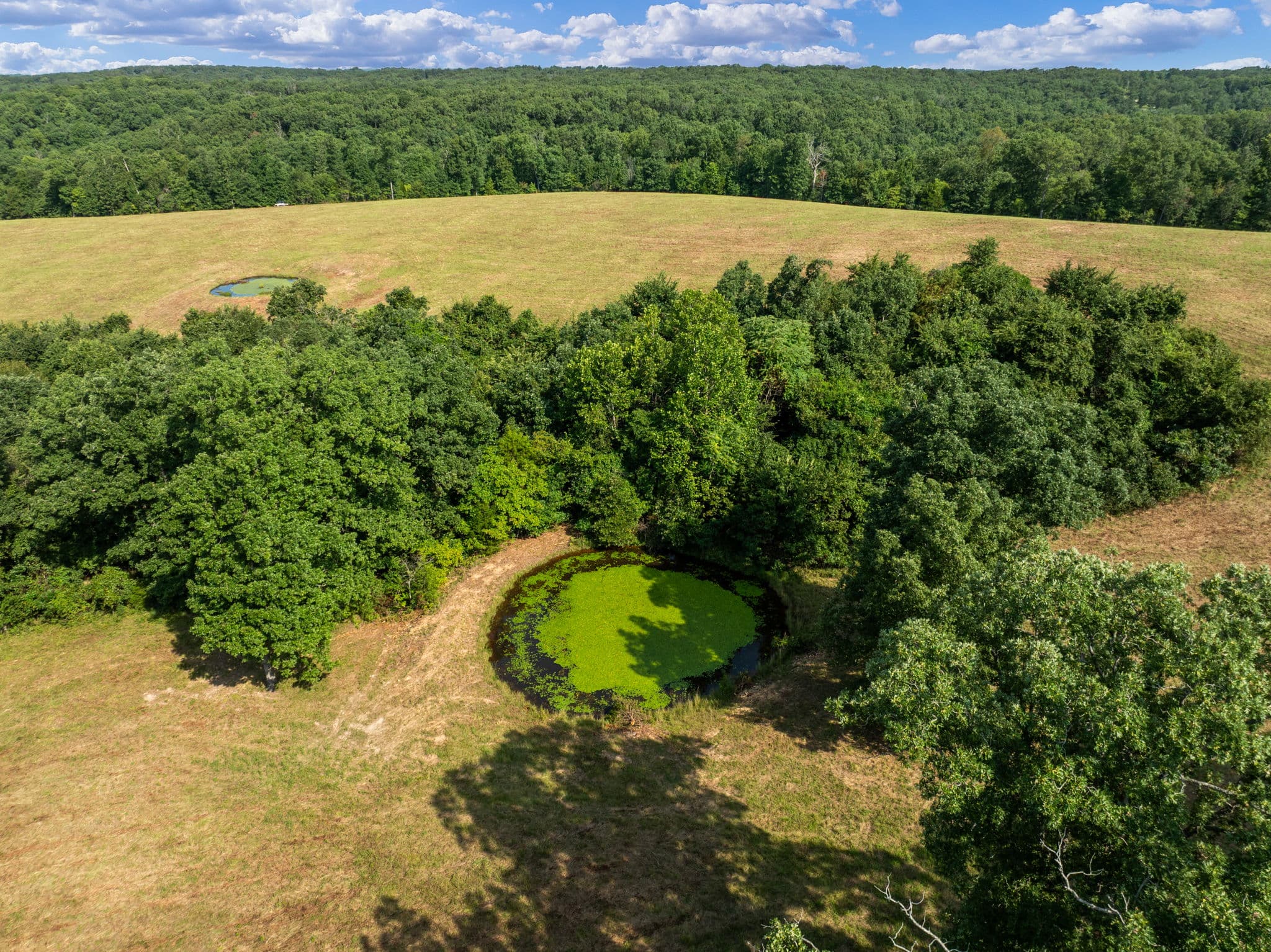 Aerial of a tree-ringed pond