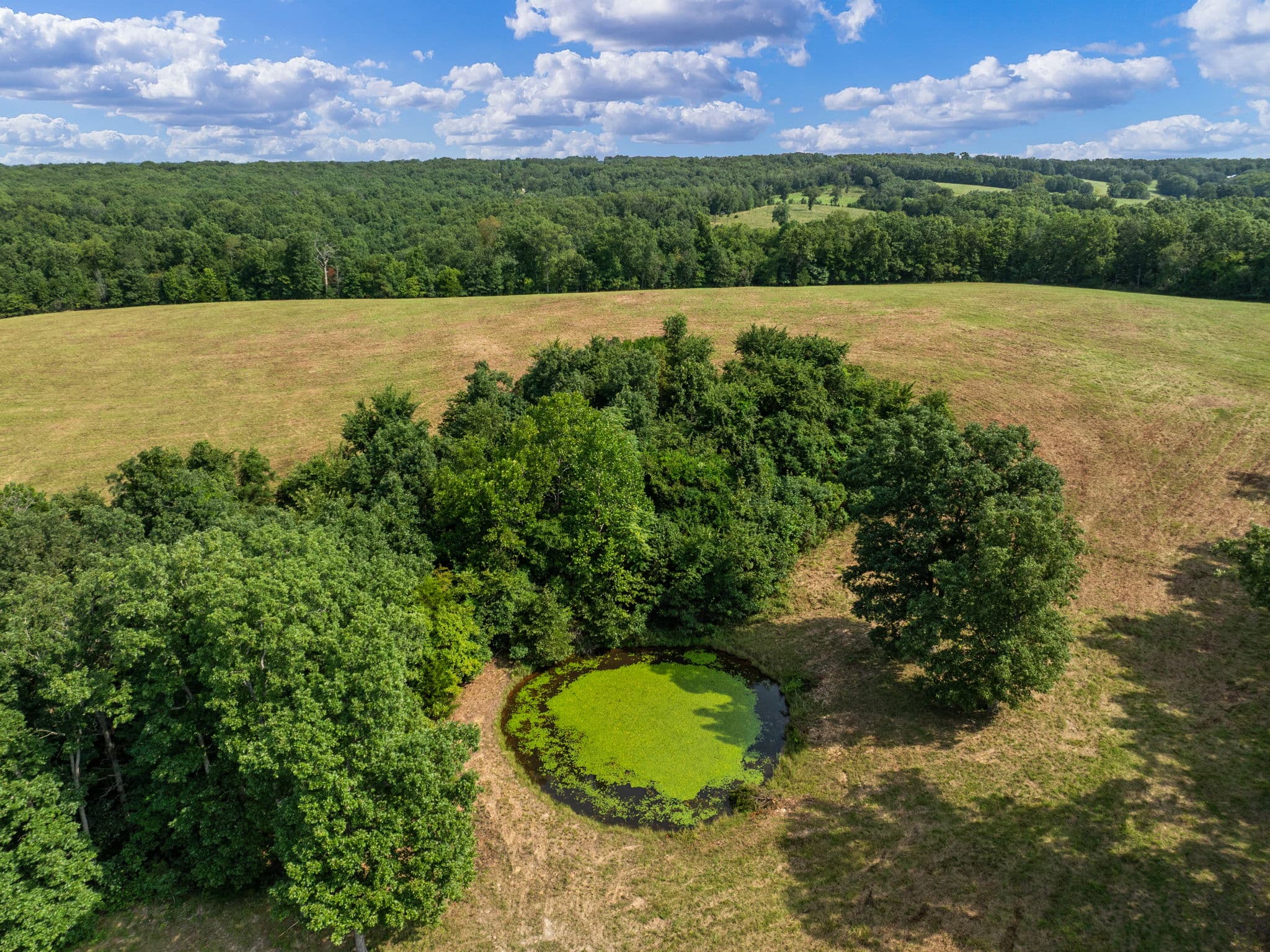 Aerial of a pond surrounded by hardwoods