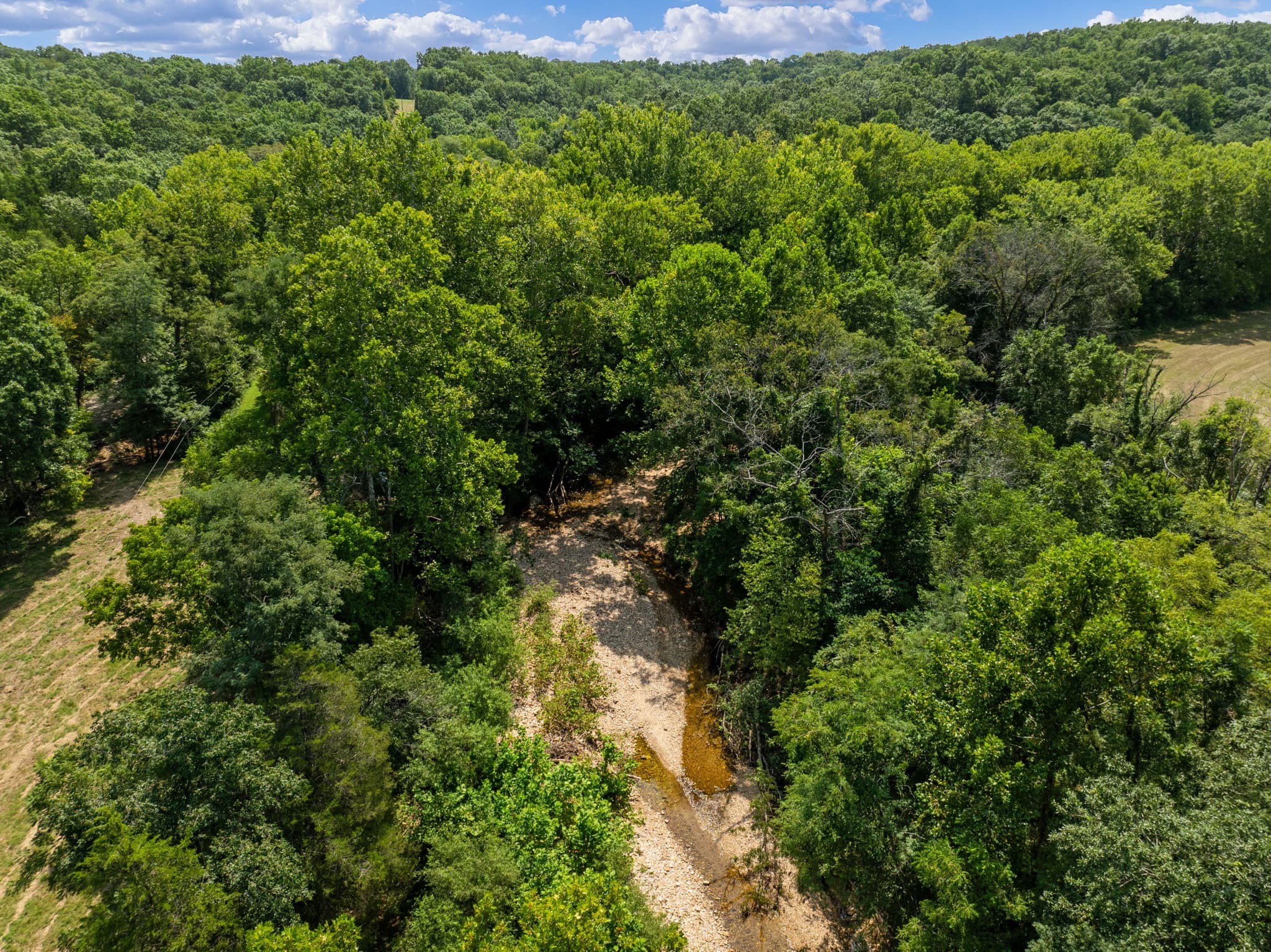 Aerial of the creek corridor through the timber