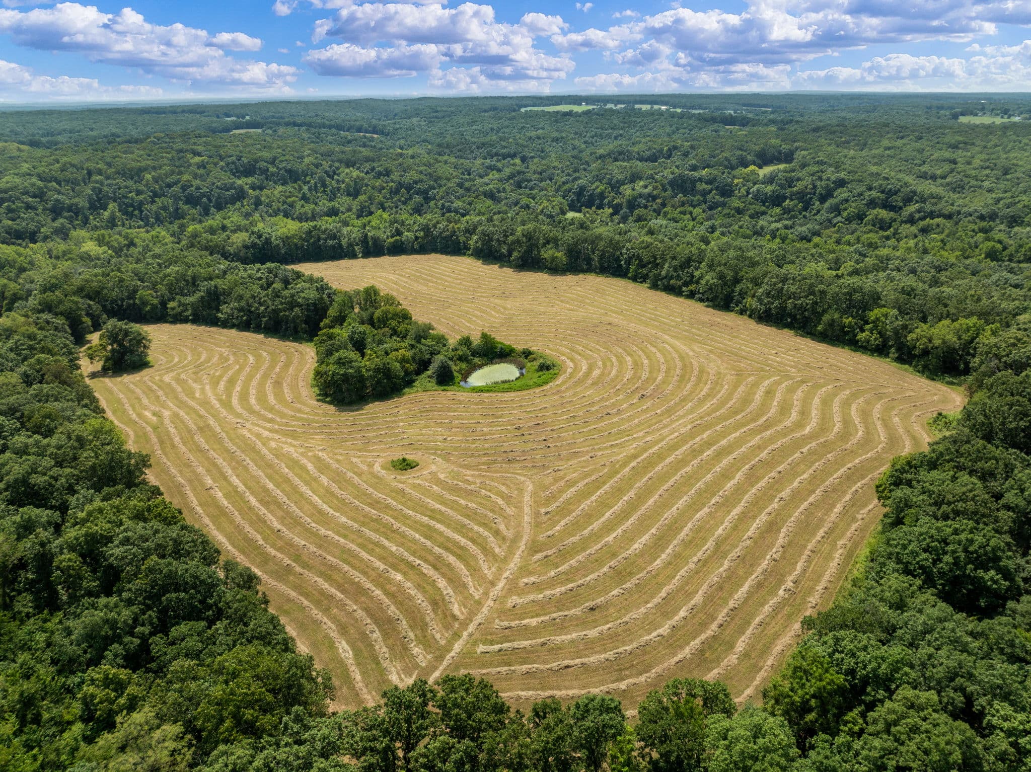 Aerial of cut hay ground and the treeline