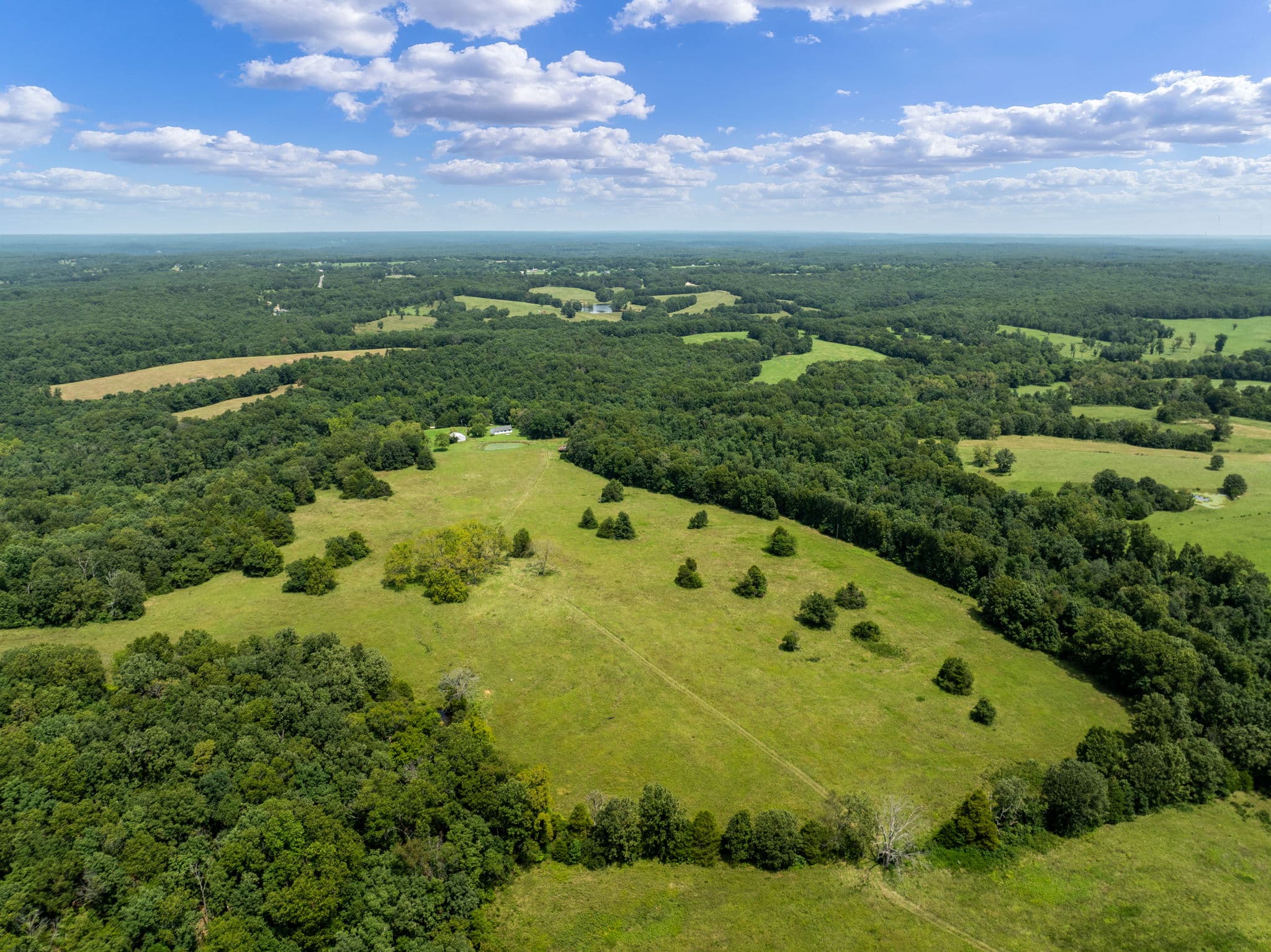 Aerial of open pasture dotted with shade trees