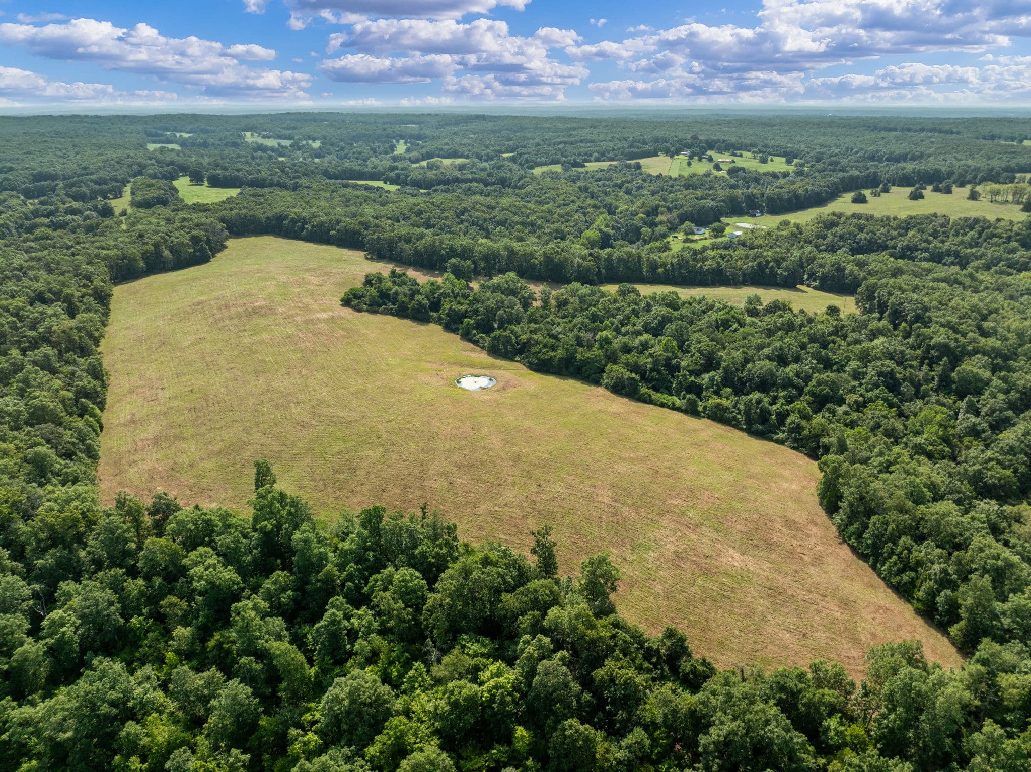 Aerial of the hay fields and treeline