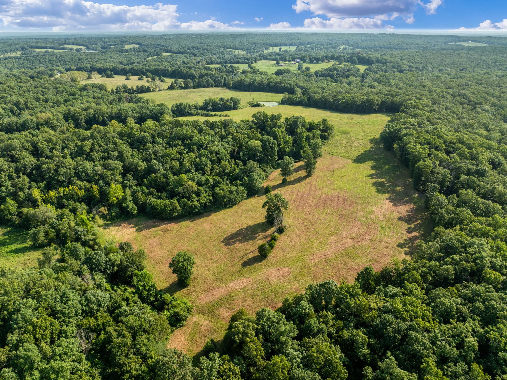 Aerial of pasture and mature forest ground
