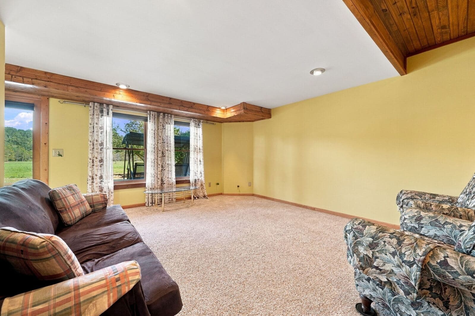 Lower-level family room with walkout to the yard