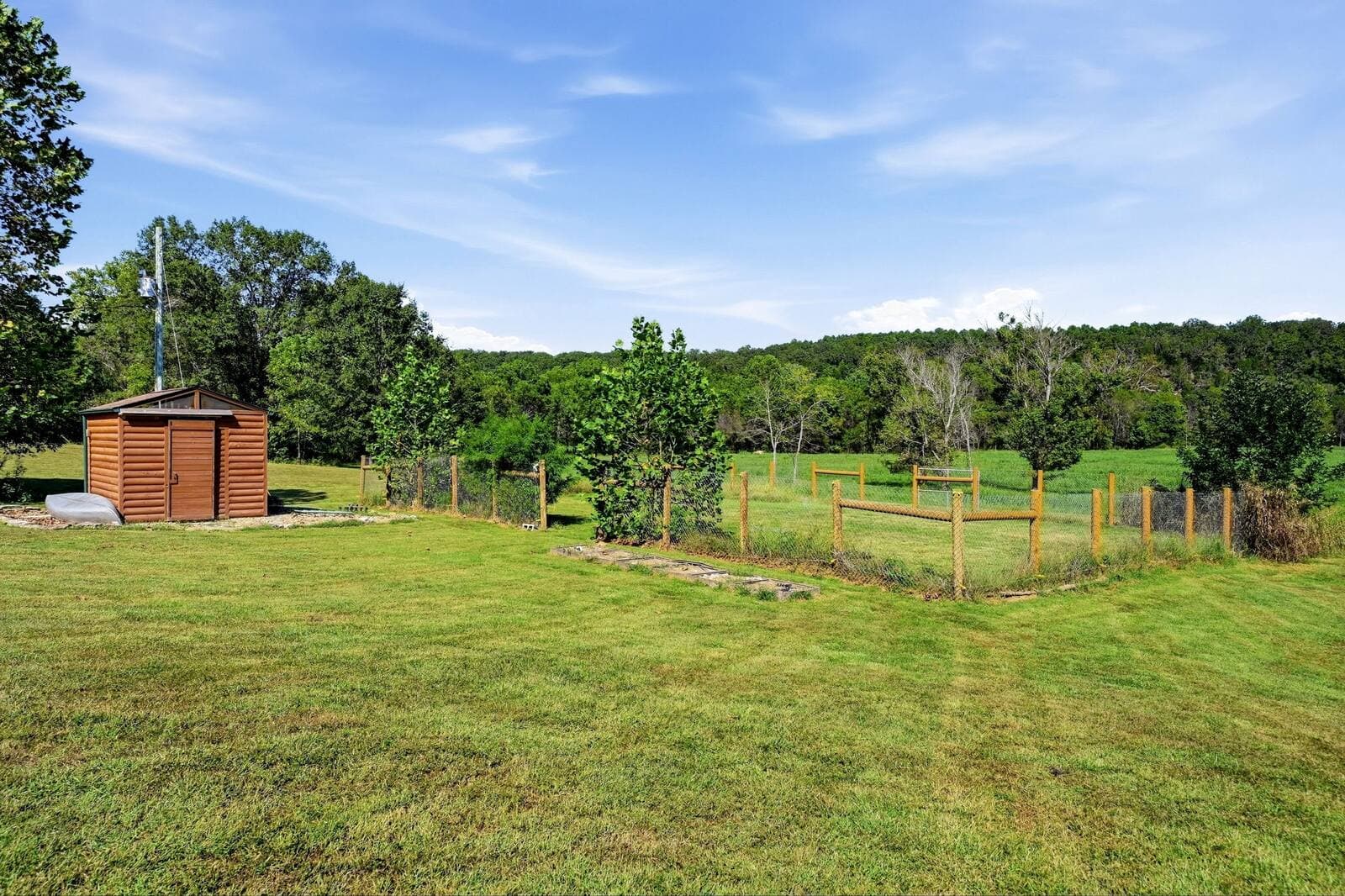 Open ground with shed and tree line