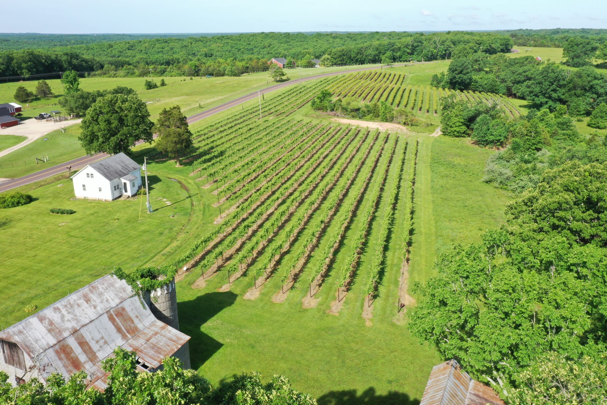 Owensville Vineyard | SOLD | MLS# 22040018