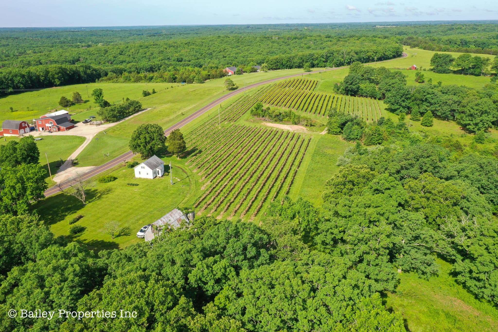 Owensville Vineyard | SOLD | MLS# 22040018