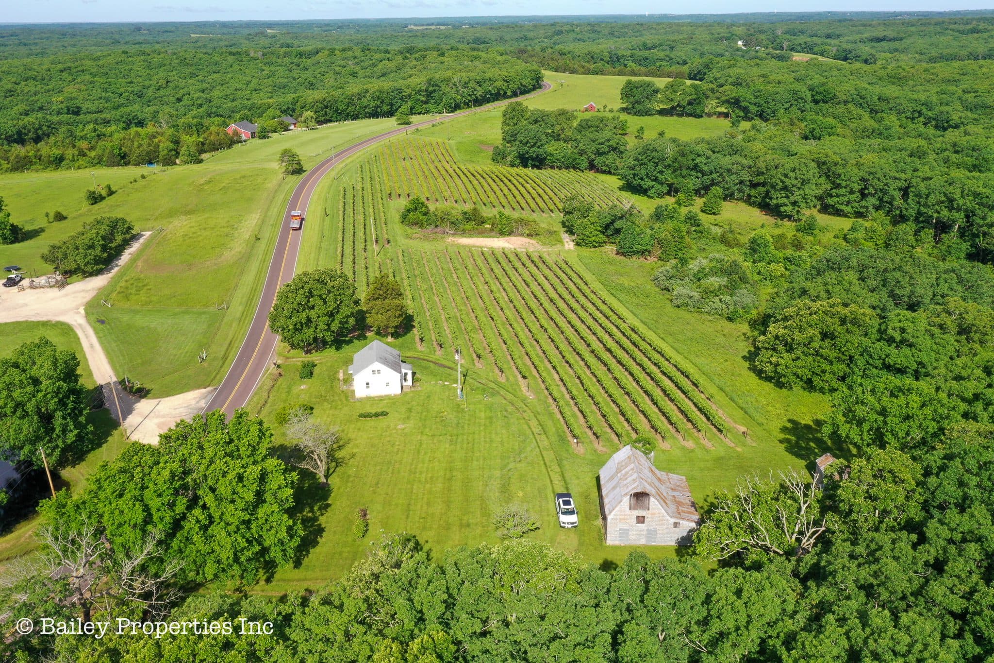 Owensville Vineyard | SOLD | MLS# 22040018