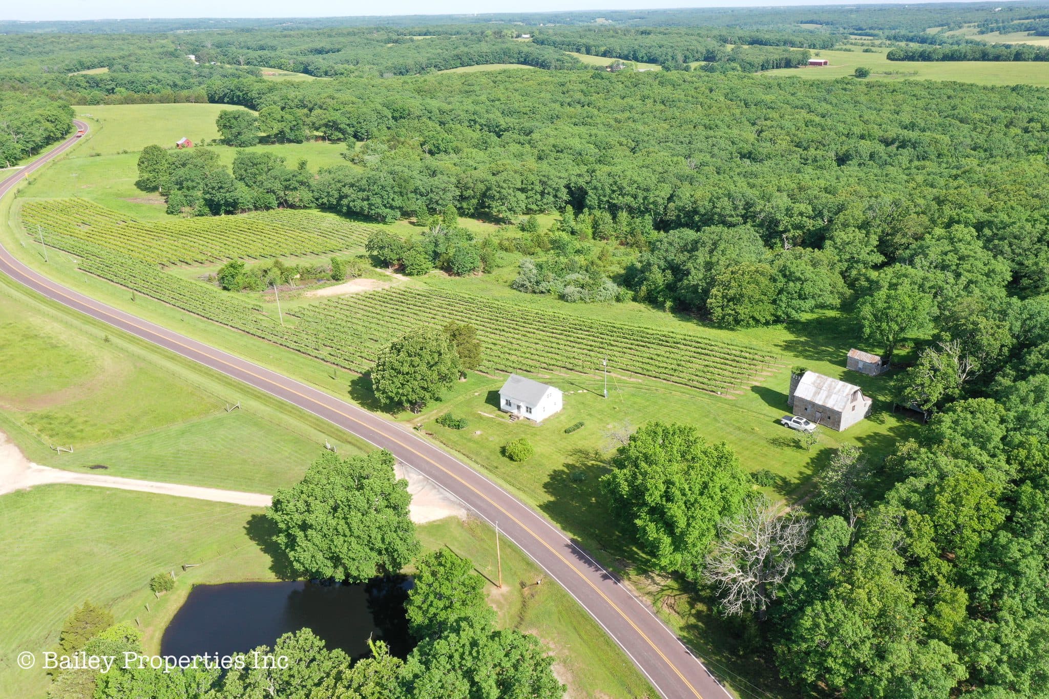 Owensville Vineyard | SOLD | MLS# 22040018