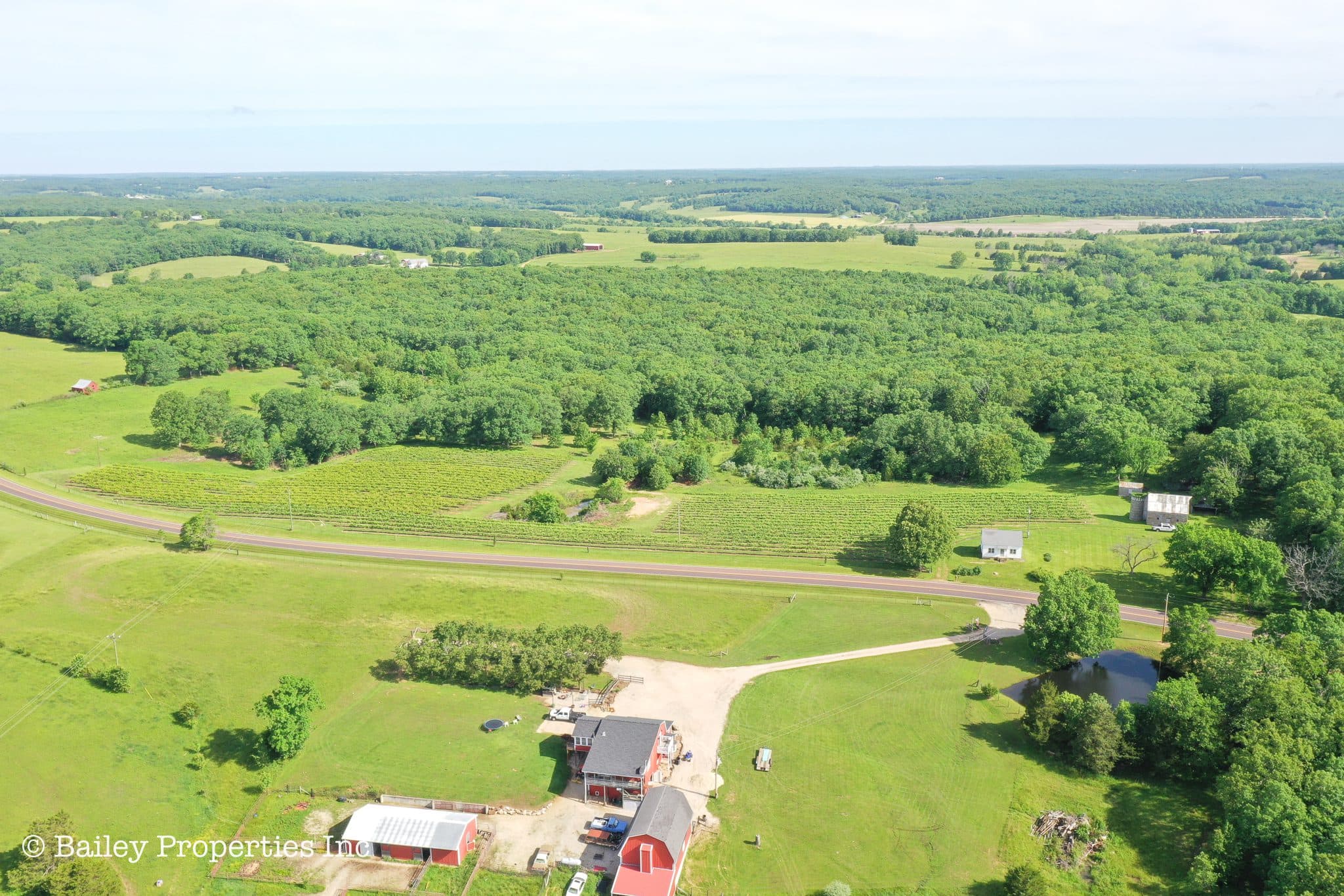 Owensville Vineyard | SOLD | MLS# 22040018