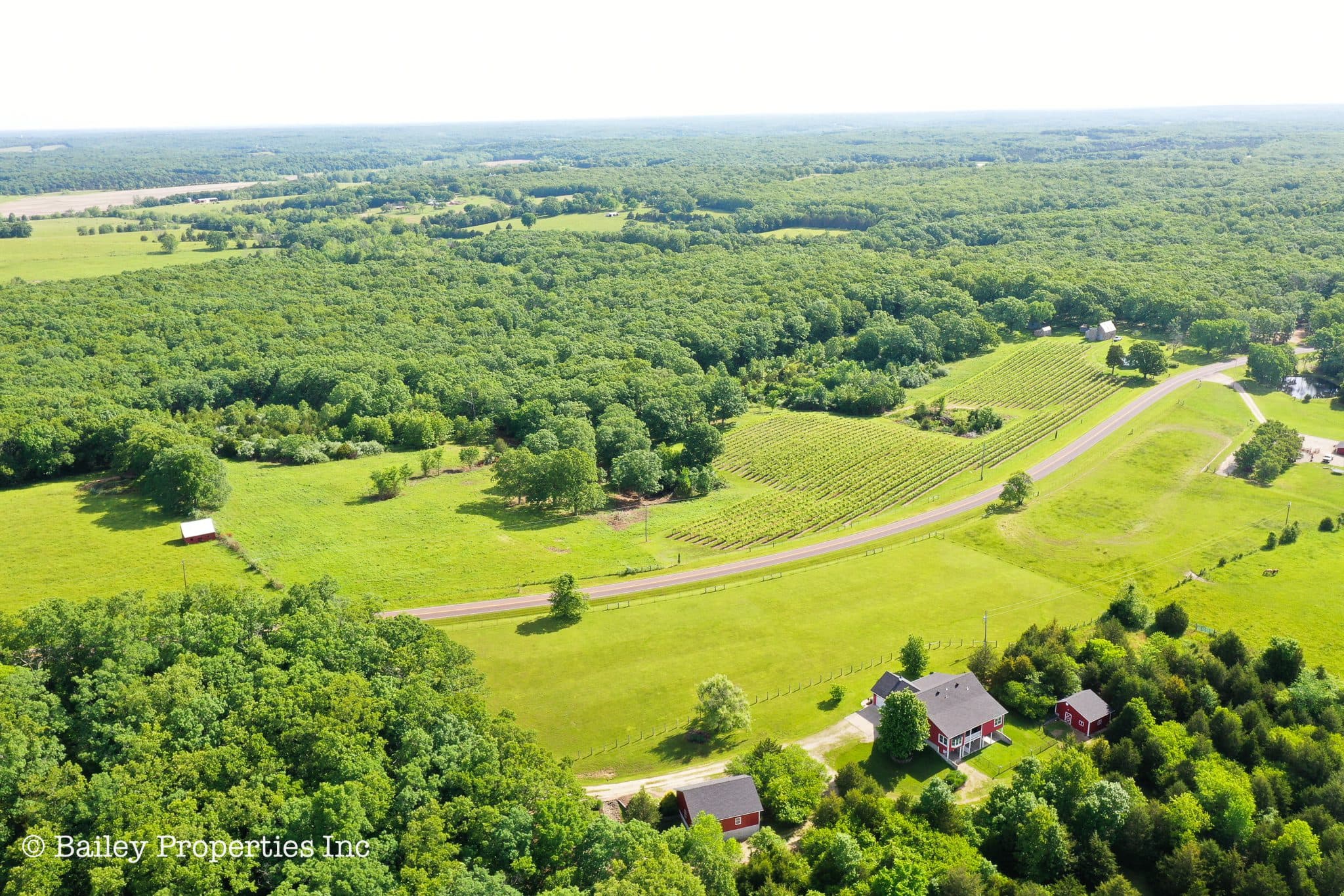 Owensville Vineyard | SOLD | MLS# 22040018