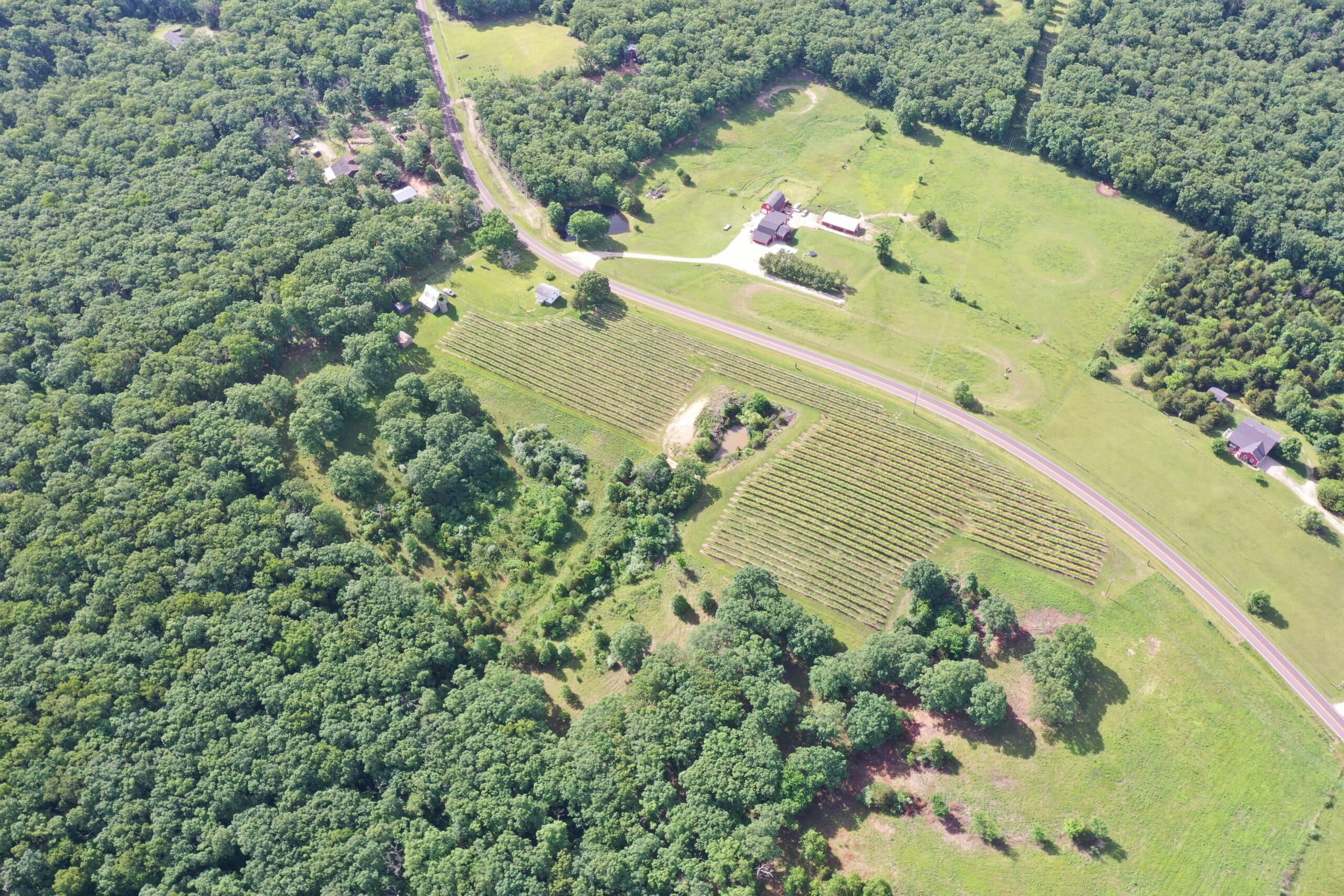 Owensville Vineyard | SOLD | MLS# 22040018