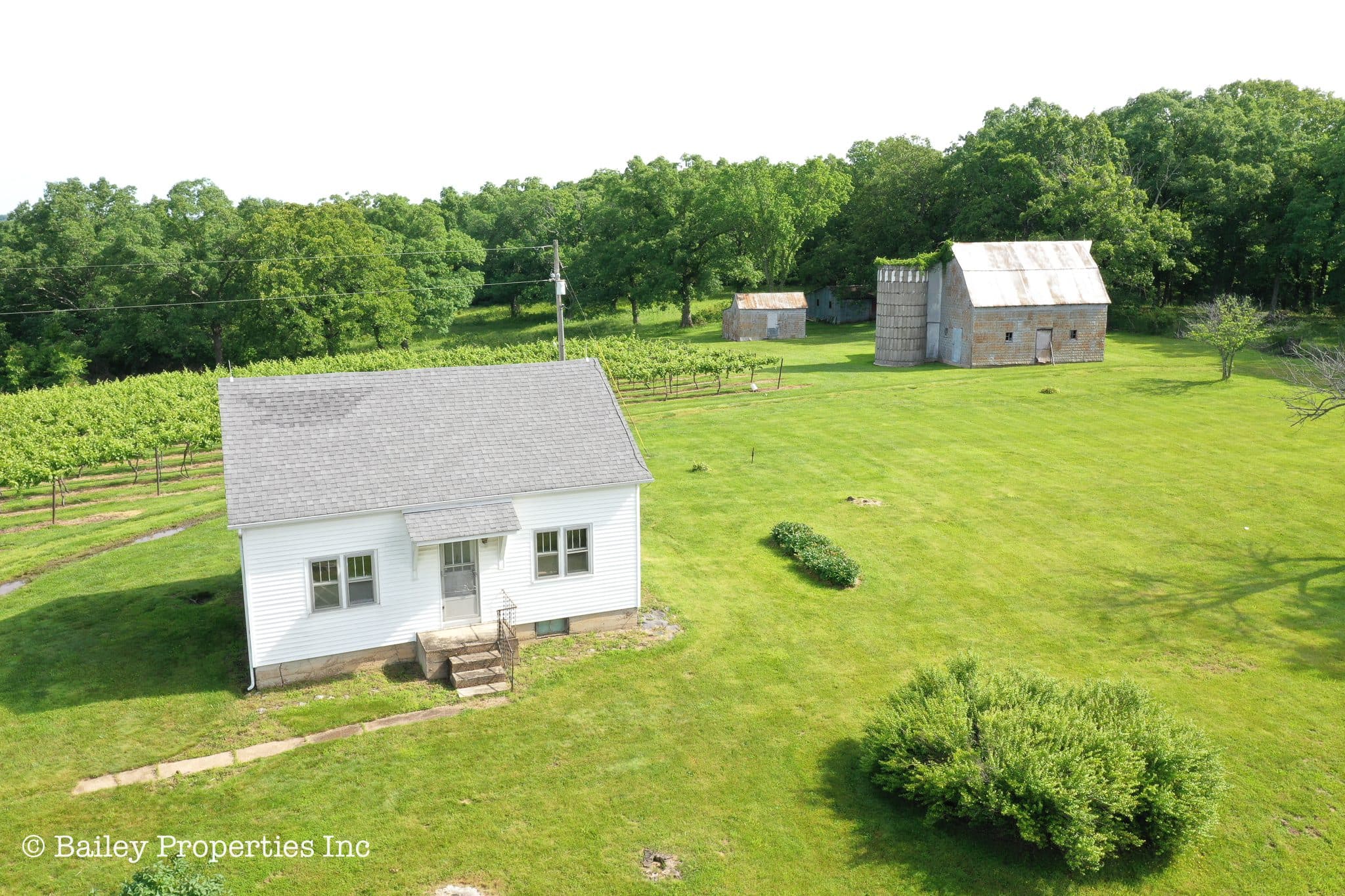 Owensville Vineyard | SOLD | MLS# 22040018