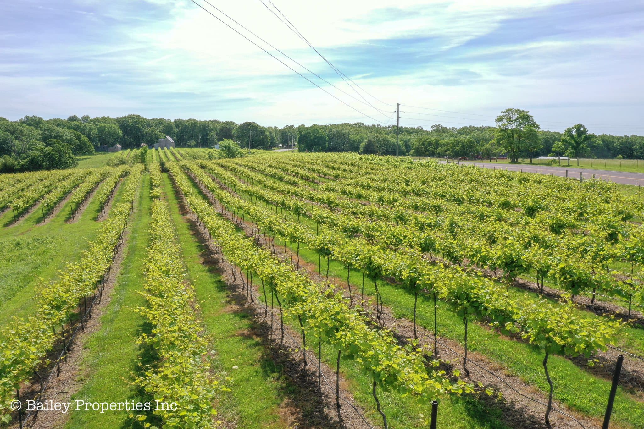 Owensville Vineyard | SOLD | MLS# 22040018