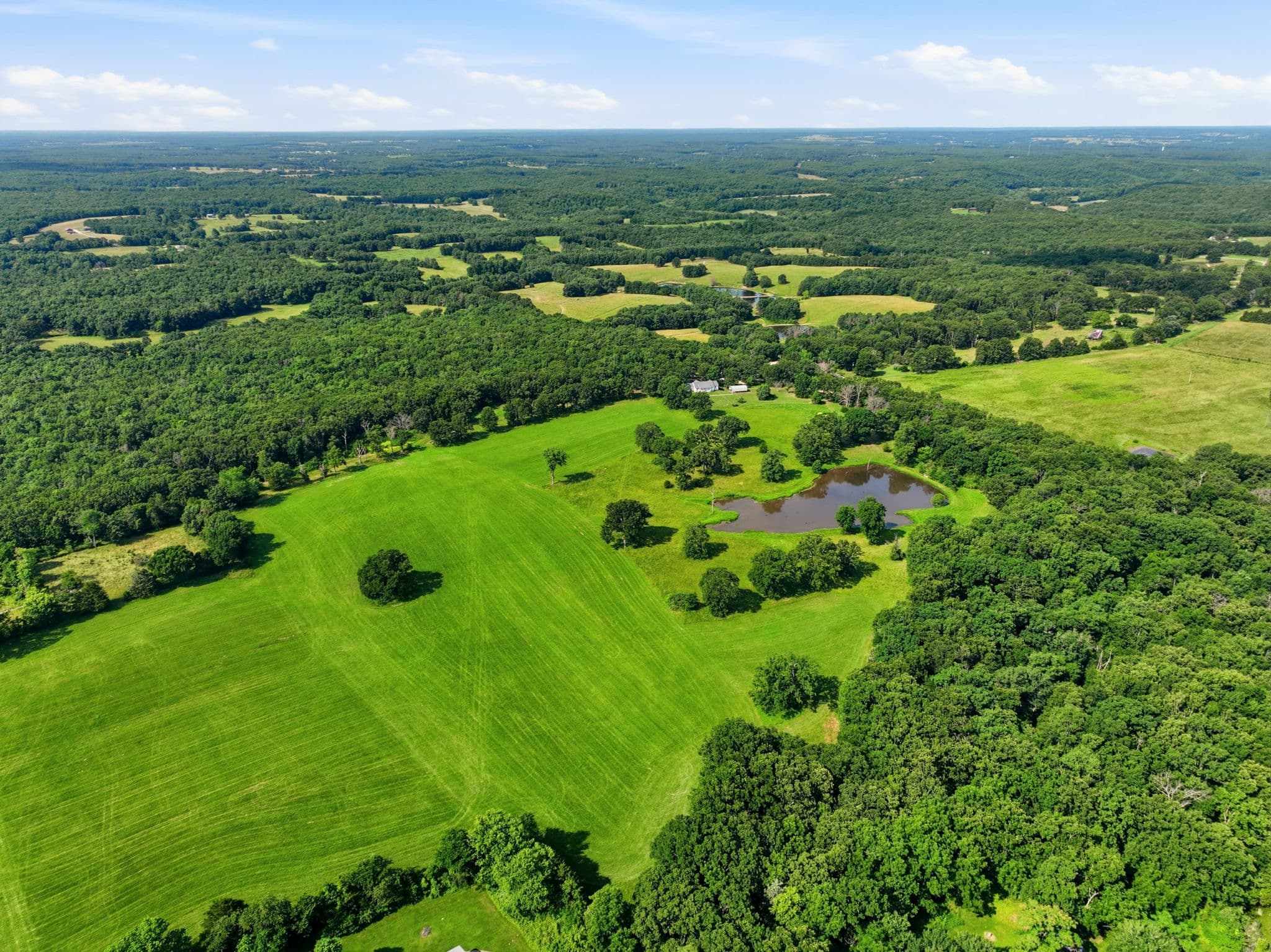 The Payne Farm