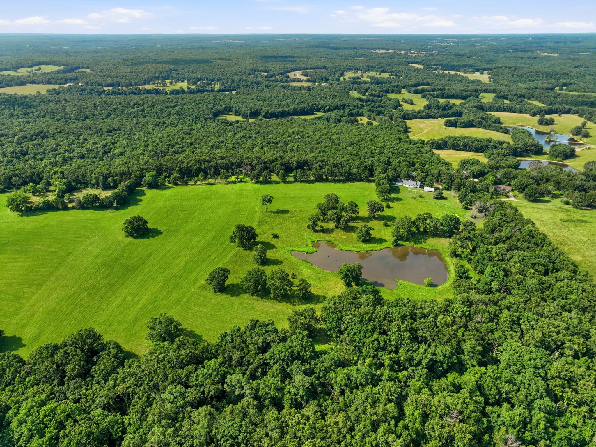 The Payne Farm