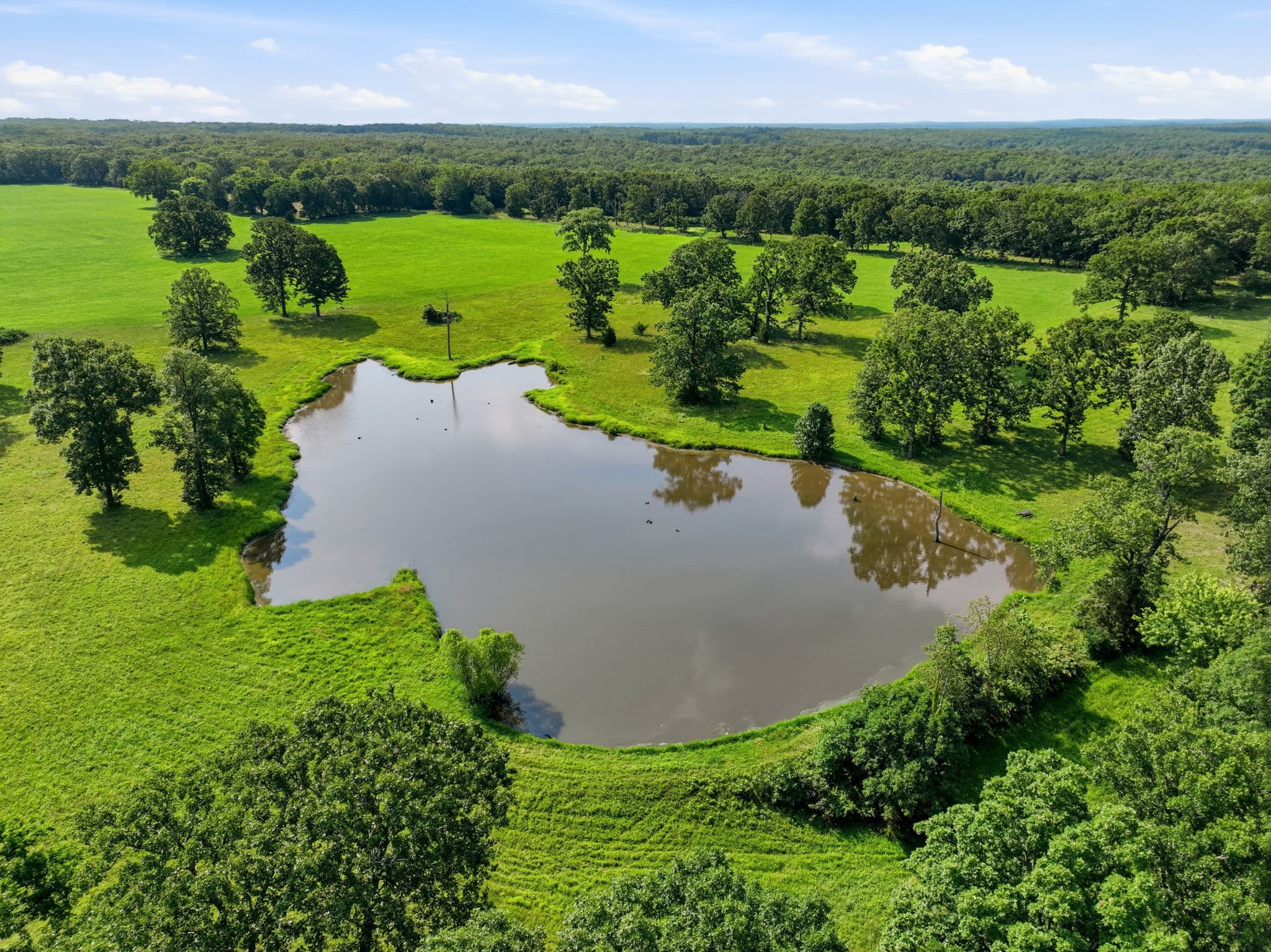 The Payne Farm