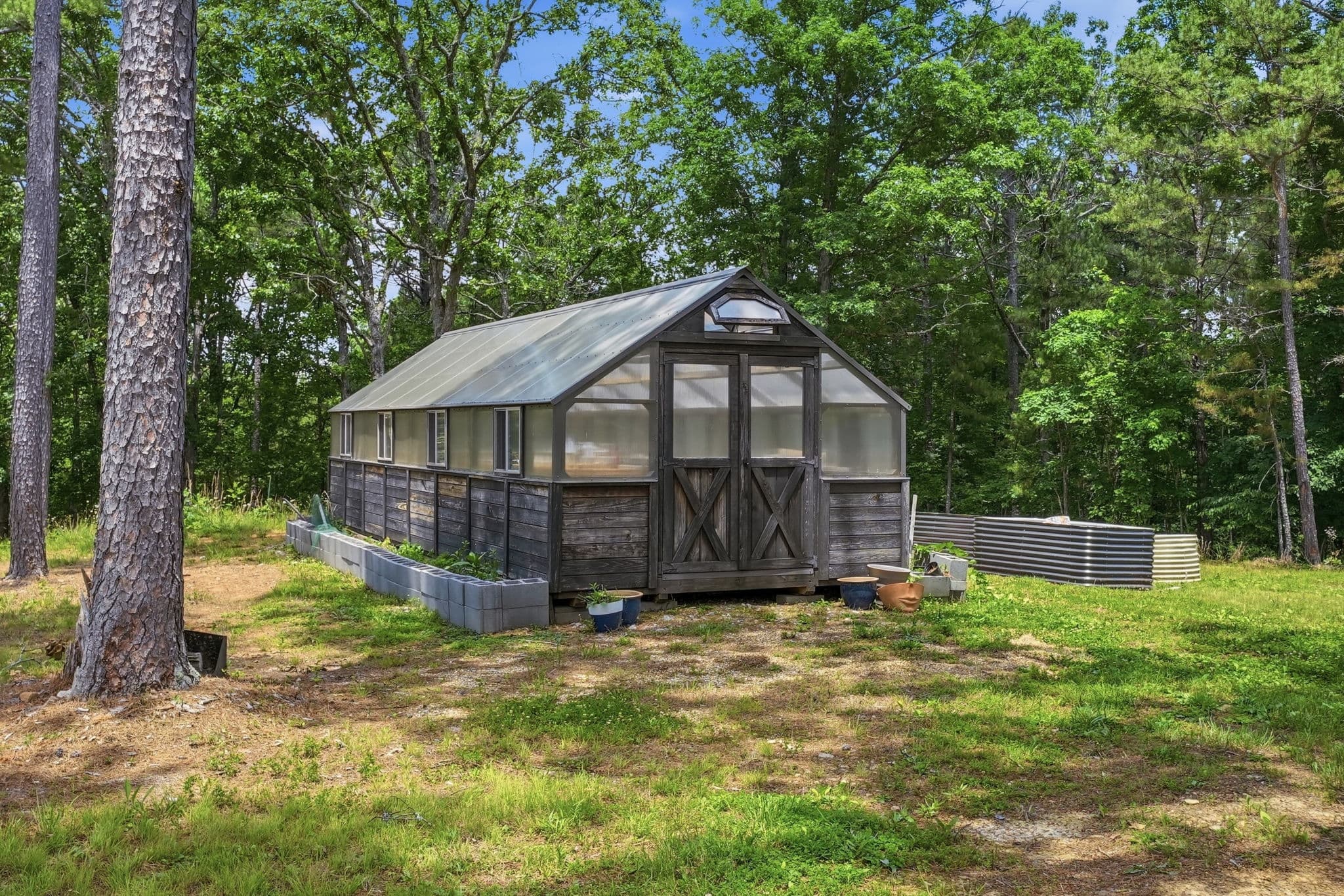 The Pigeon Farm