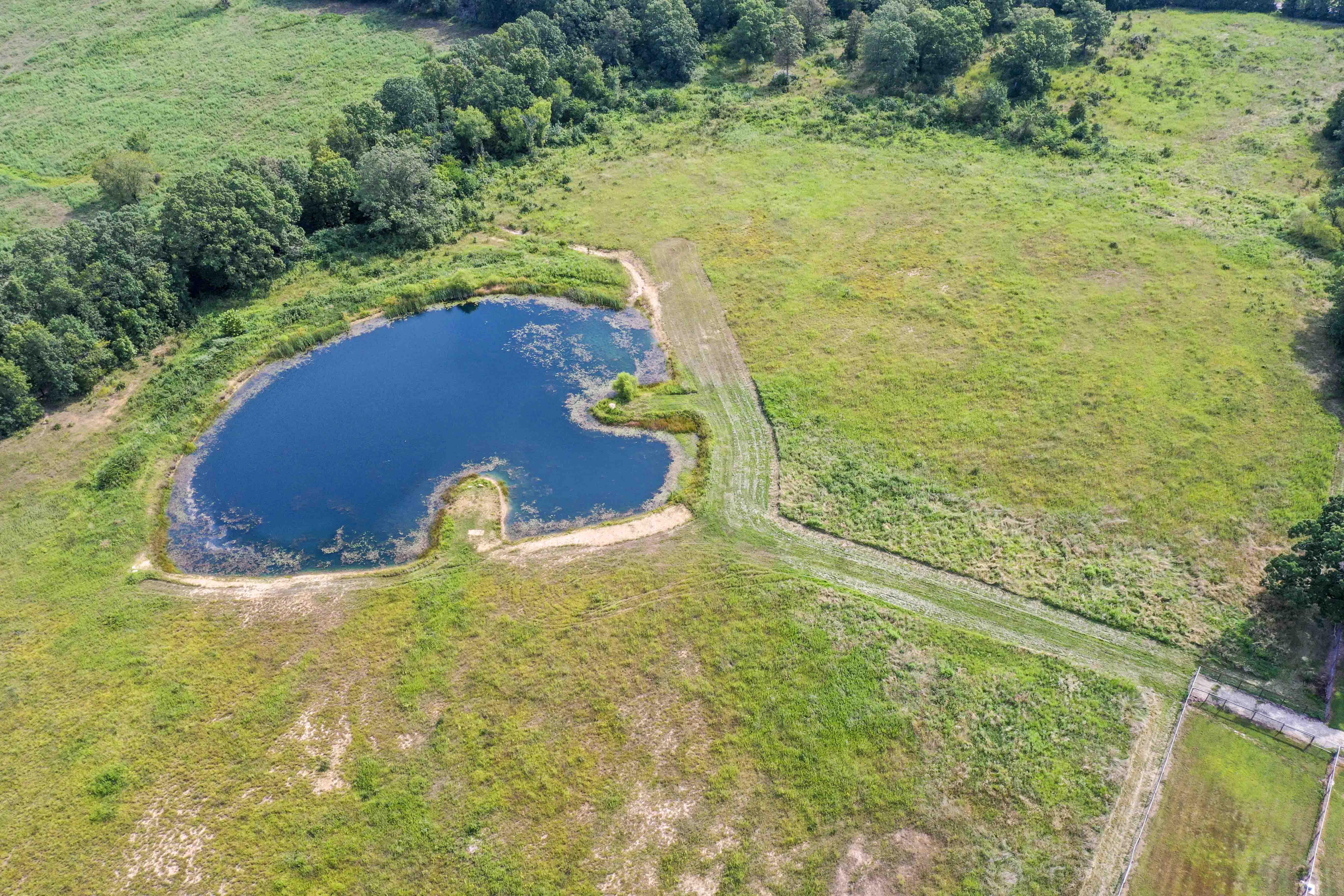 The Shchon Farm | SOLD